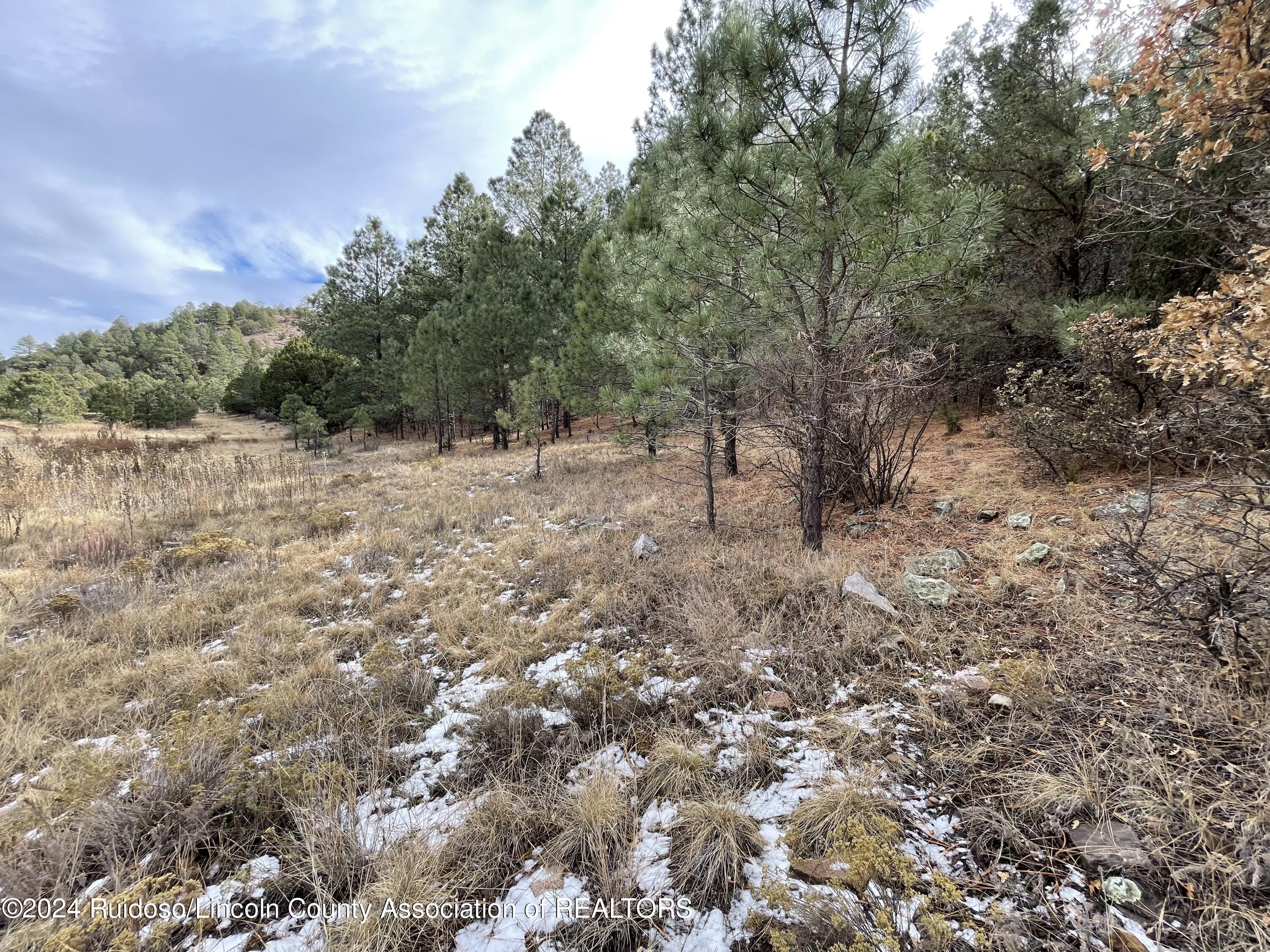 L17 Little Creek Hills Road, Alto, New Mexico image 7