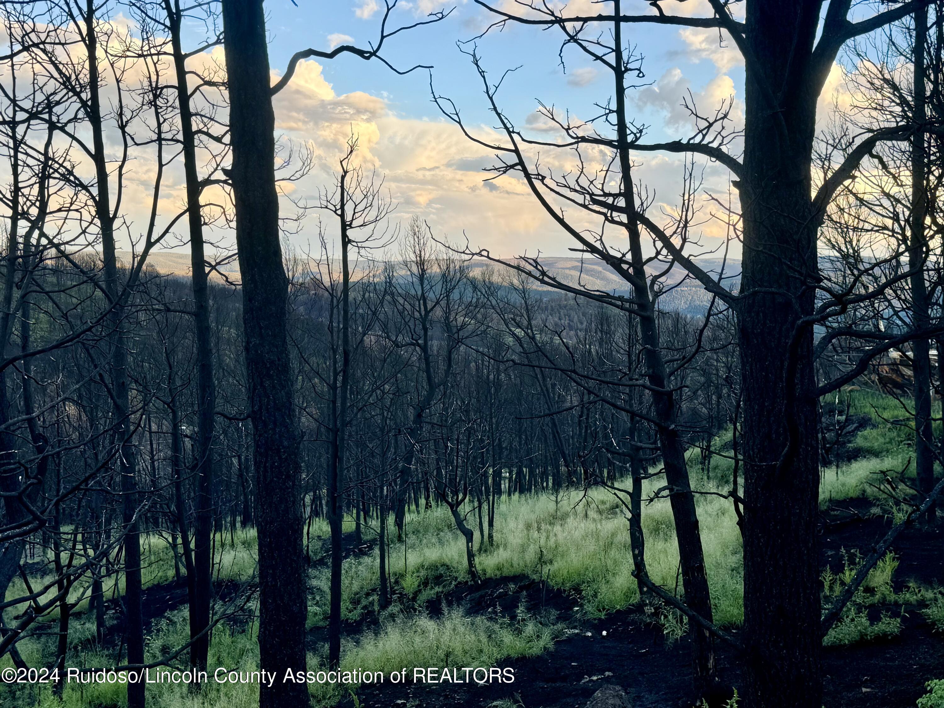 L16 Mount Hood, Ruidoso, New Mexico image 7