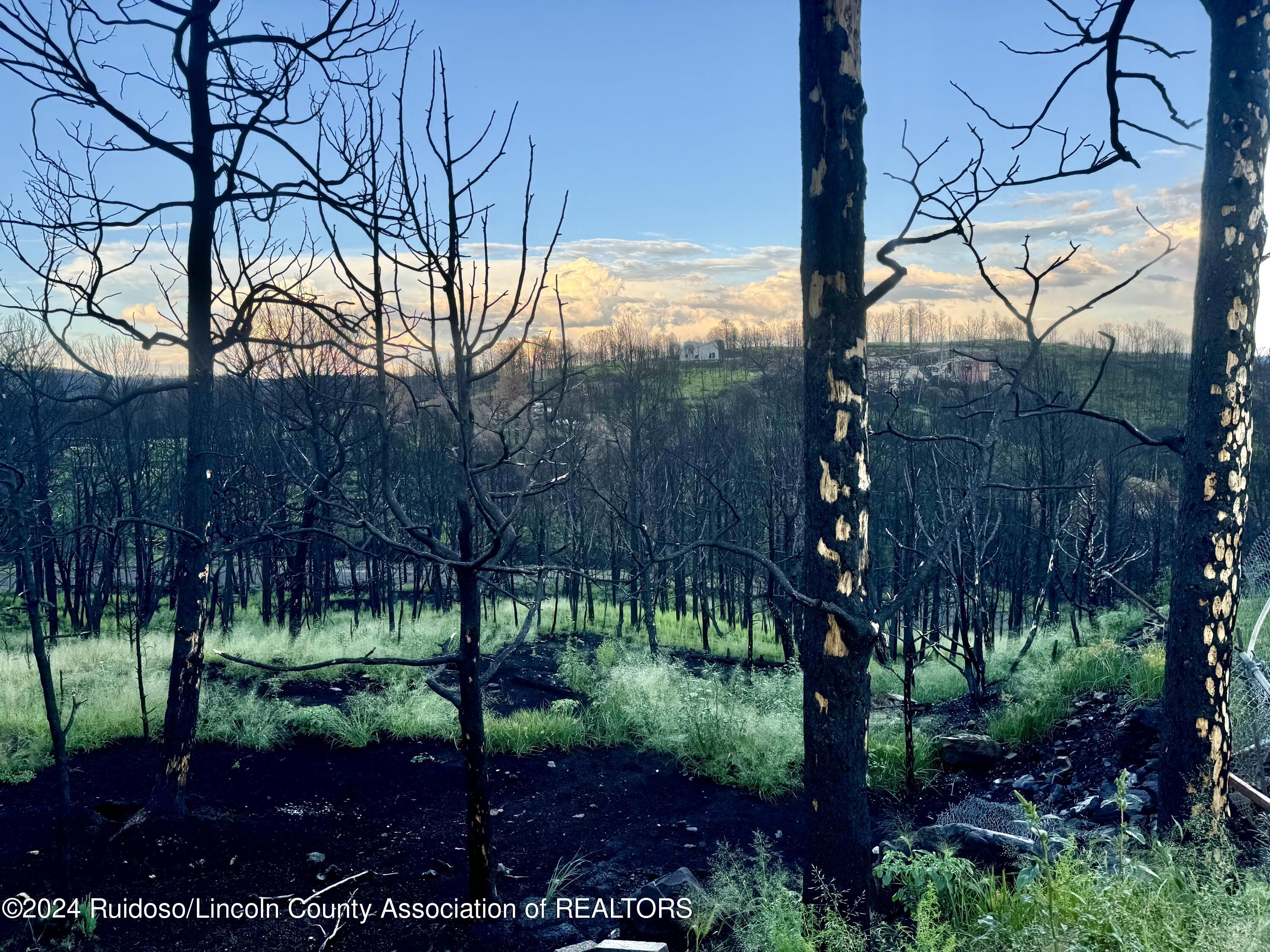 L16 Mount Hood, Ruidoso, New Mexico image 9