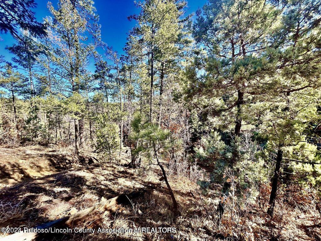 523 Resort Drive, Ruidoso, New Mexico image 2