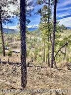 523 Resort Drive, Ruidoso, New Mexico image 9