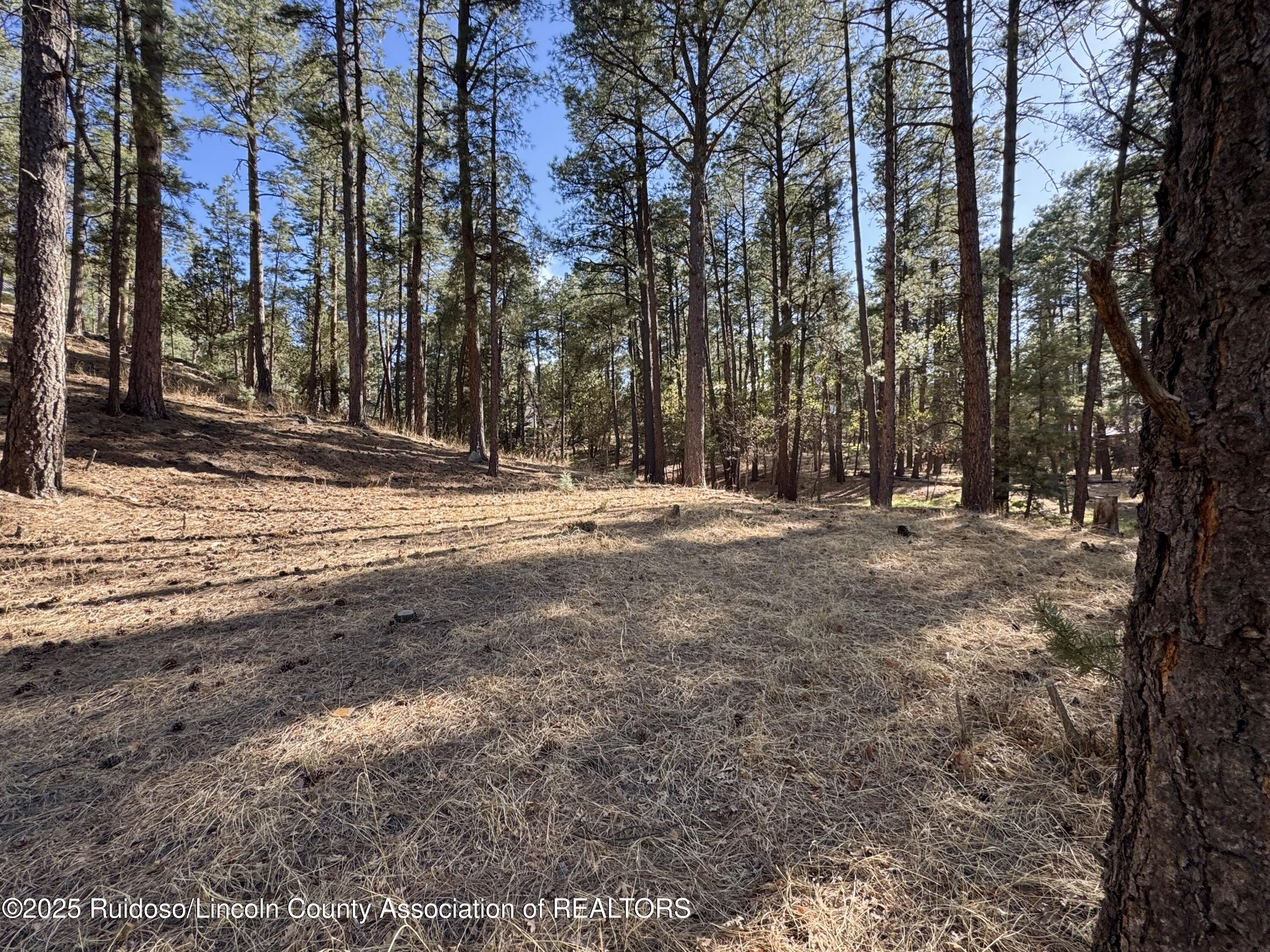 137 Broadmoor Drive, Alto, New Mexico image 2