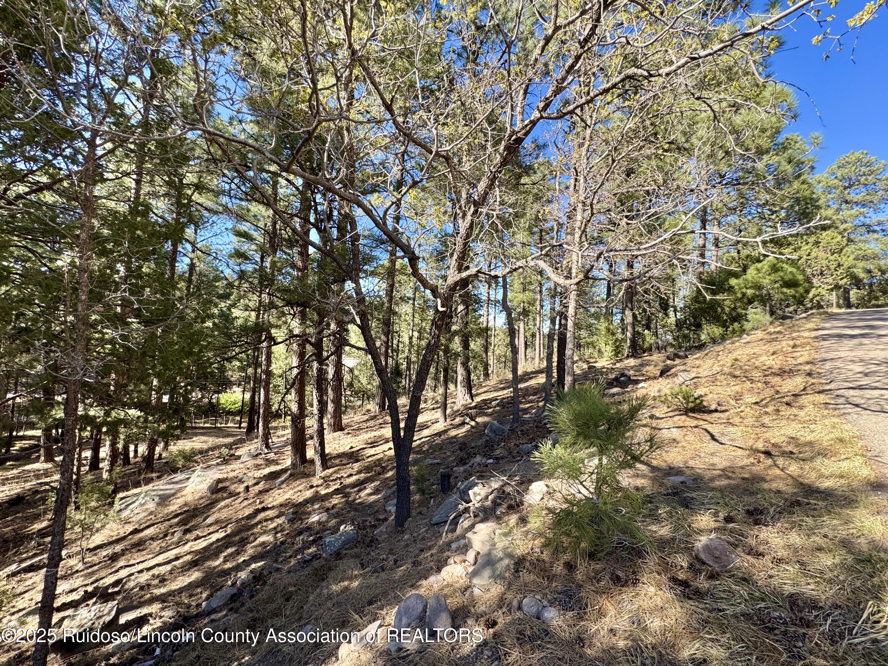 137 Broadmoor Drive, Alto, New Mexico image 9