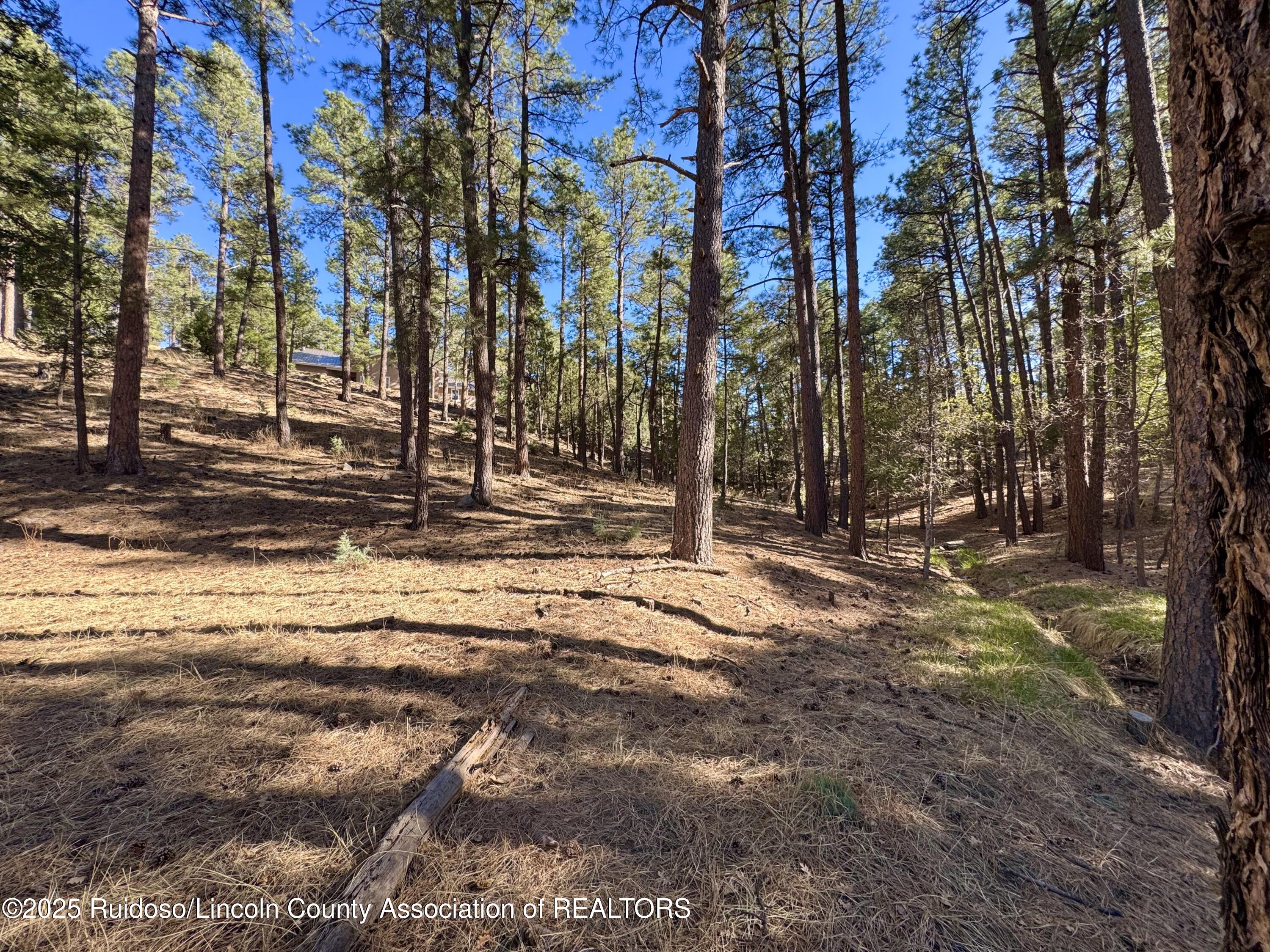137 Broadmoor Drive, Alto, New Mexico image 6