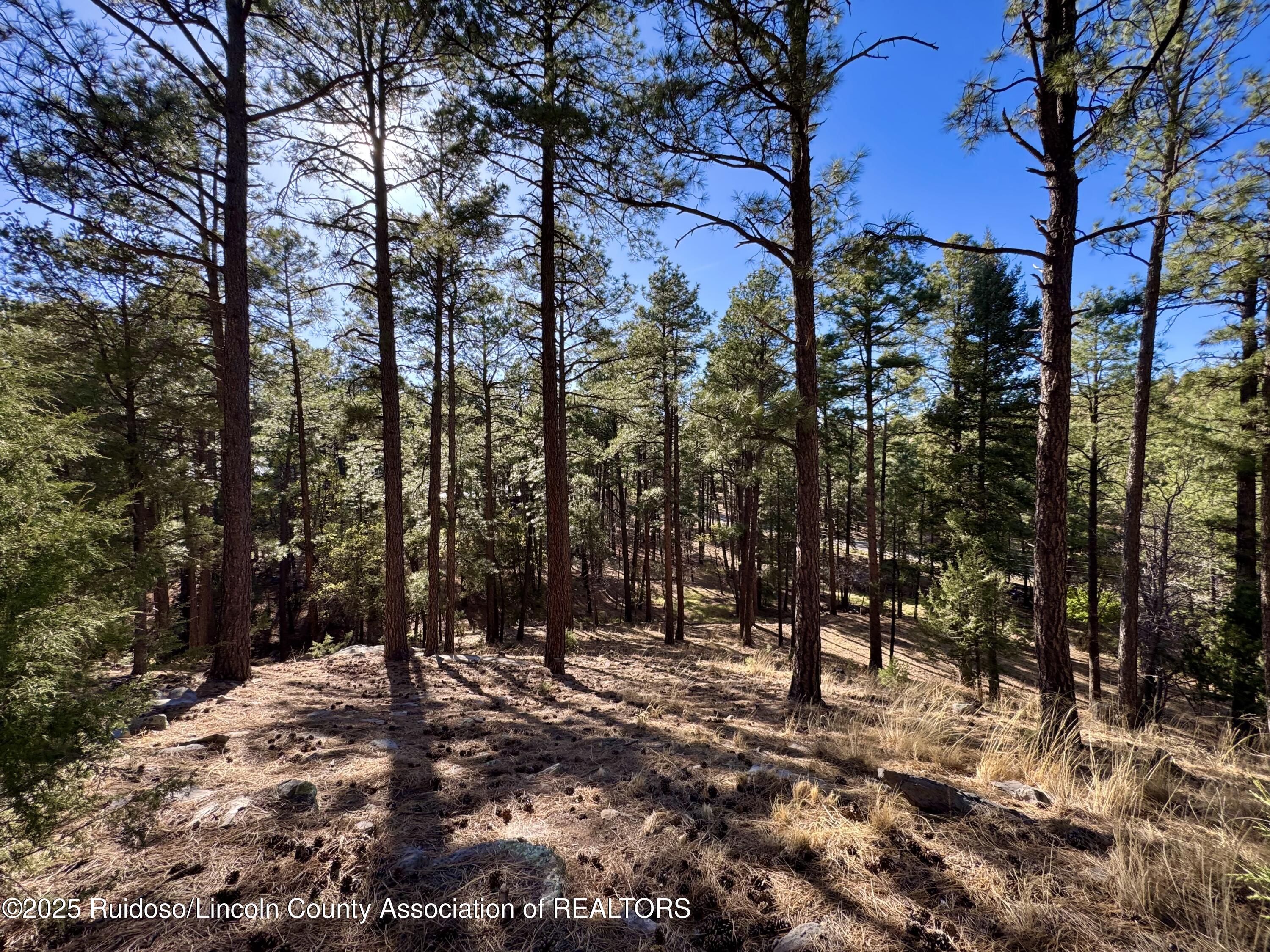 137 Broadmoor Drive, Alto, New Mexico image 1