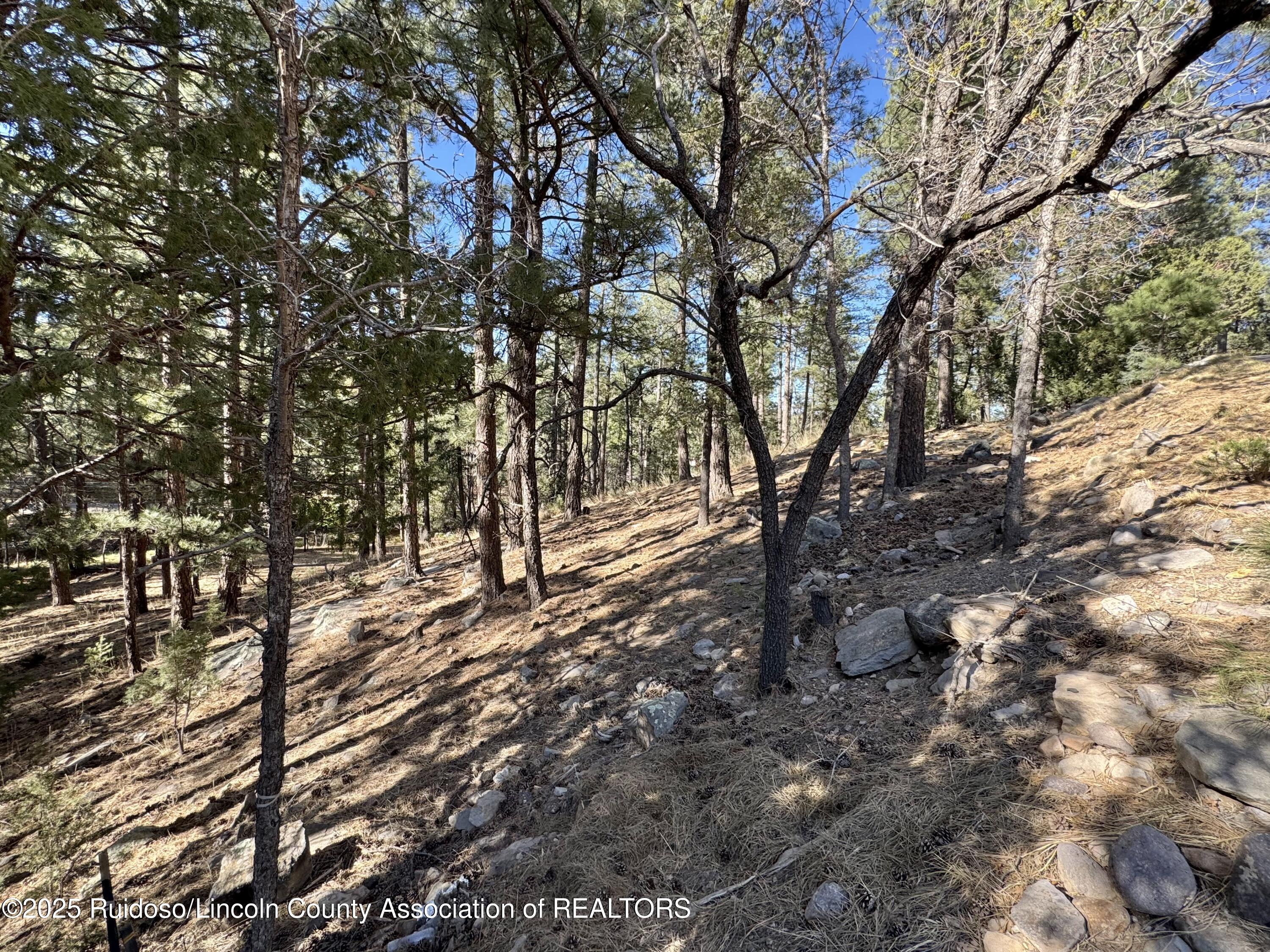 137 Broadmoor Drive, Alto, New Mexico image 7