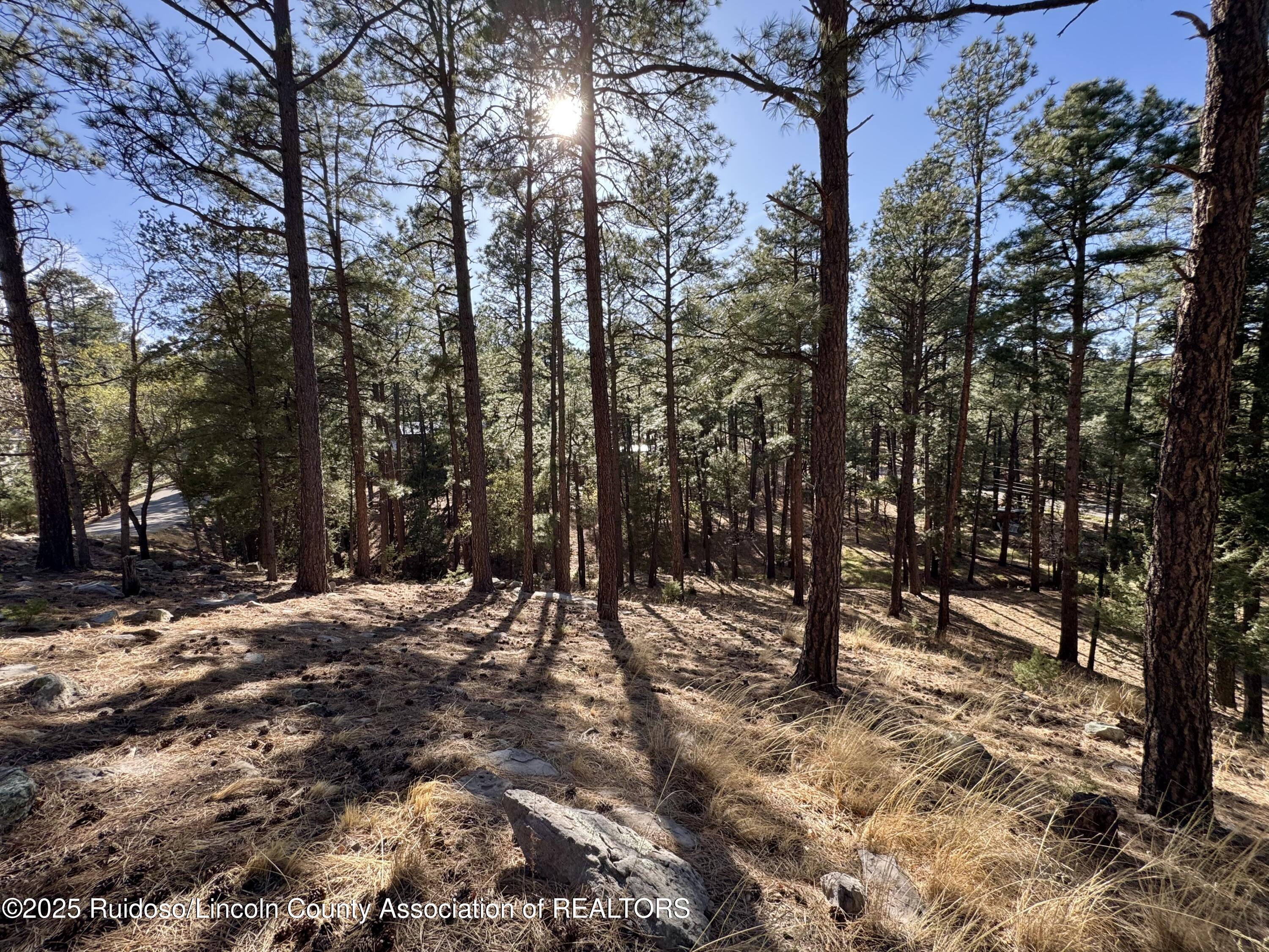 137 Broadmoor Drive, Alto, New Mexico image 4
