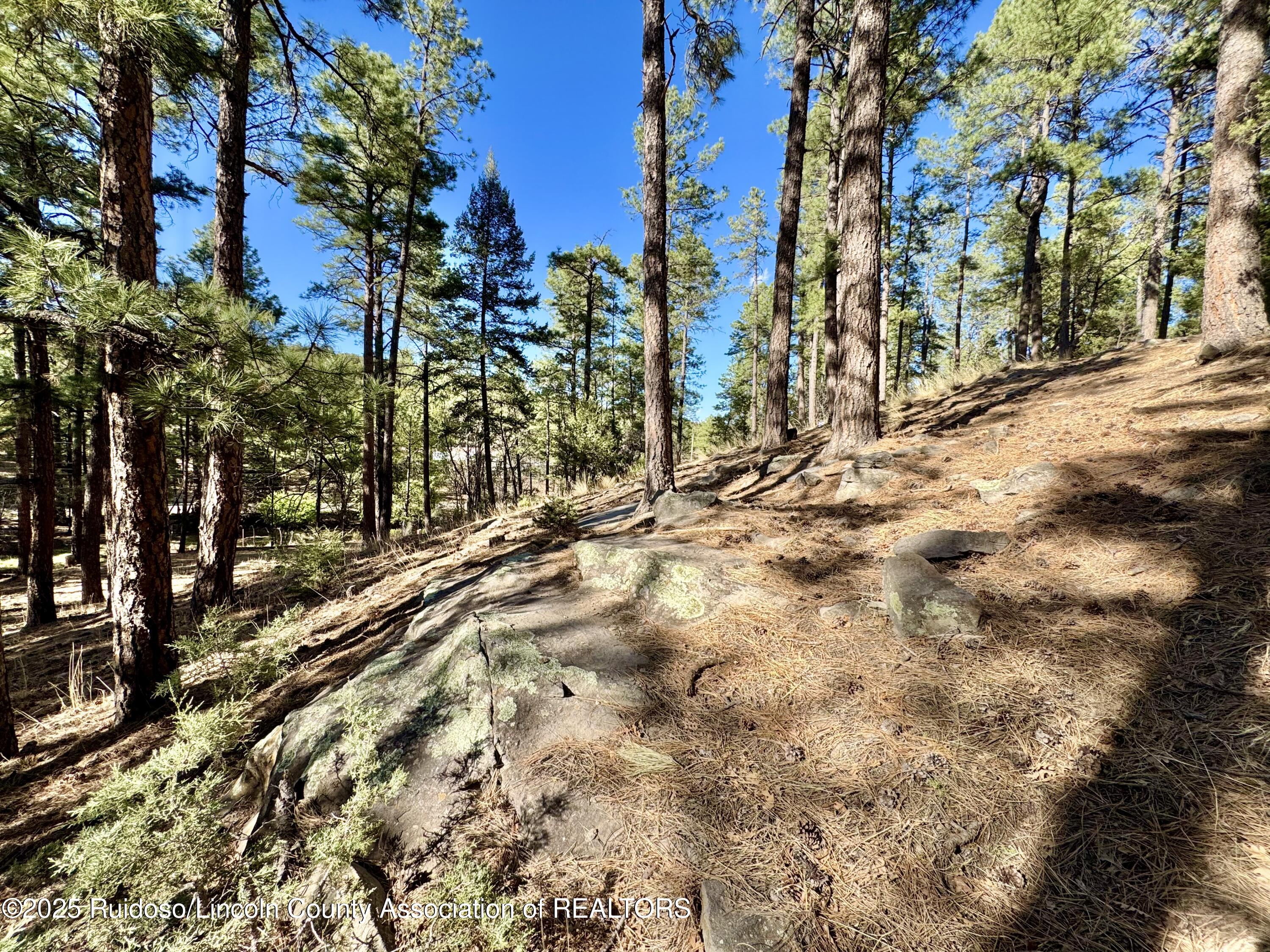 137 Broadmoor Drive, Alto, New Mexico image 3