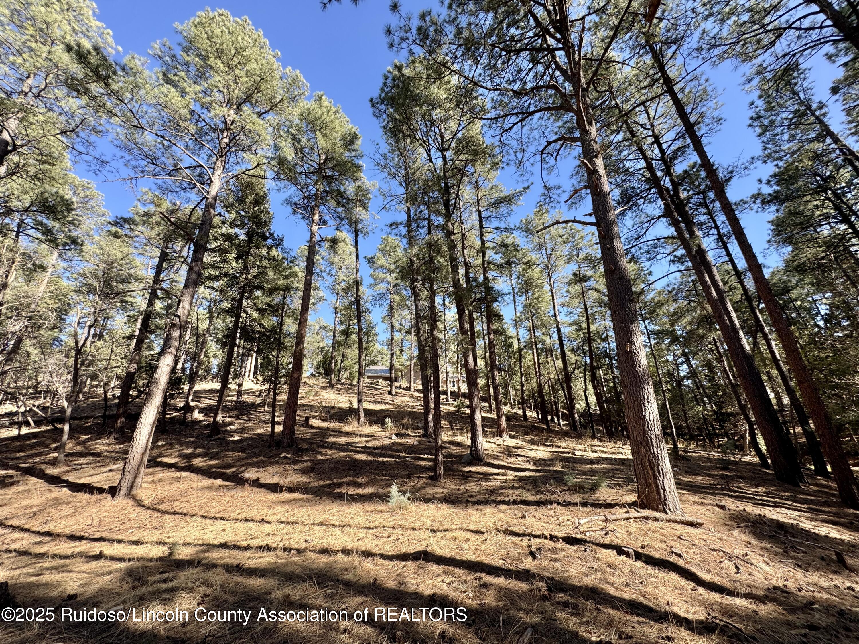 137 Broadmoor Drive, Alto, New Mexico image 5