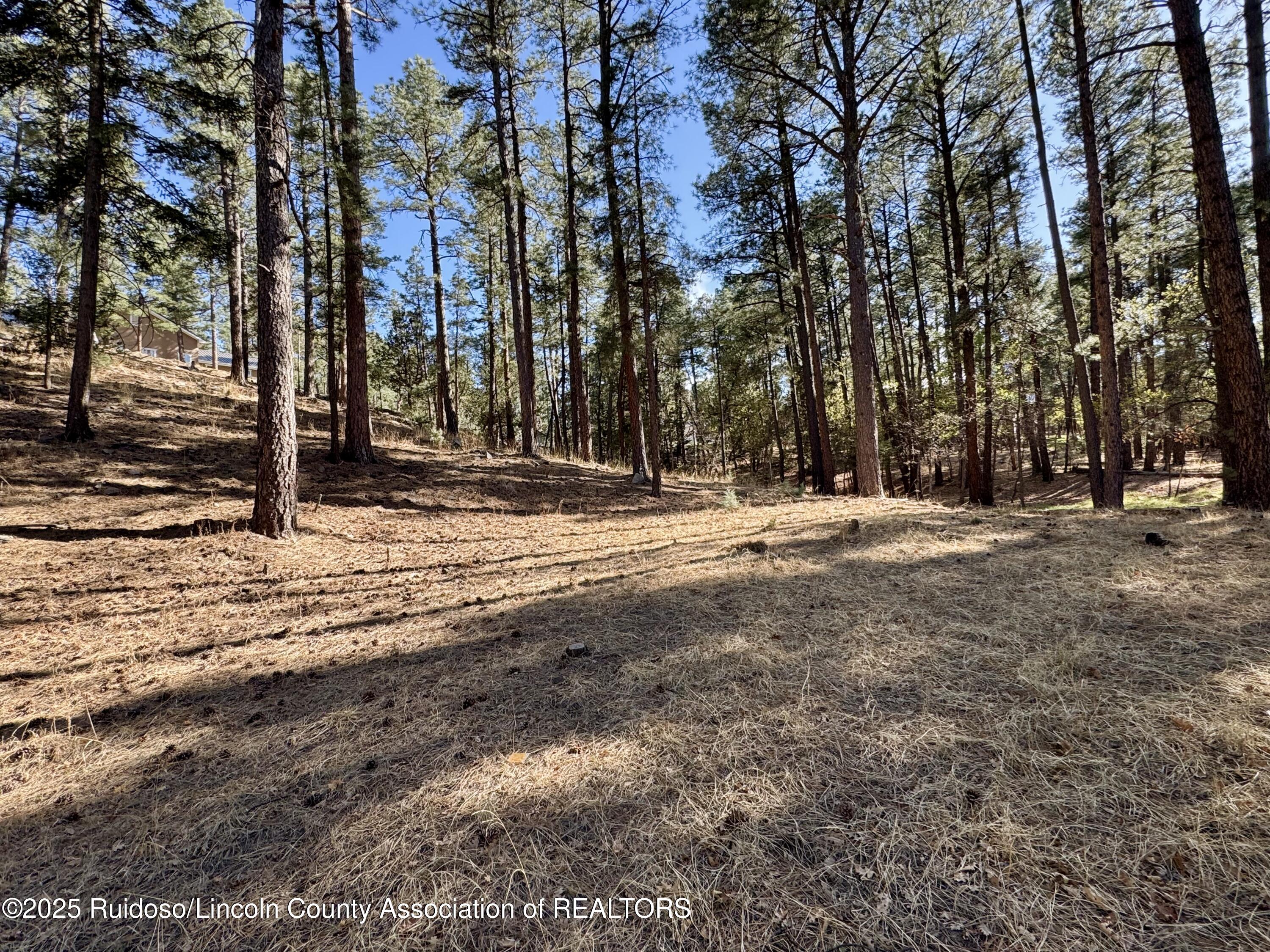 137 Broadmoor Drive, Alto, New Mexico image 8