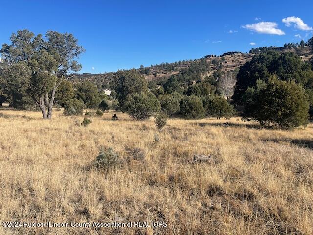 112 Antler Drive, Alto, New Mexico image 7