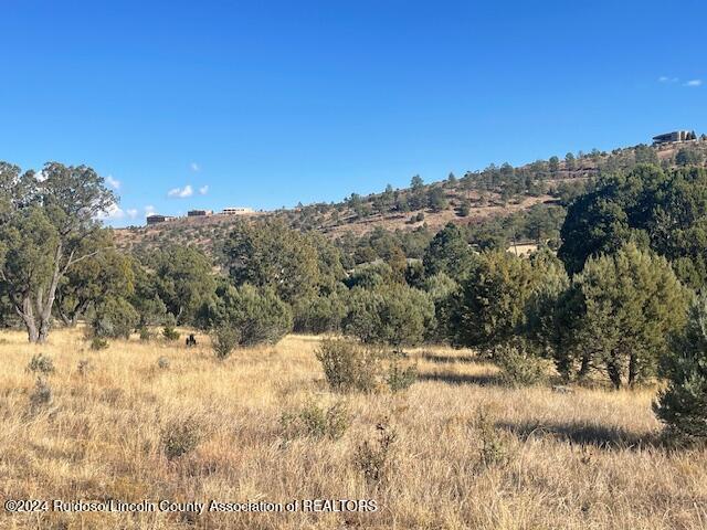 112 Antler Drive, Alto, New Mexico image 2