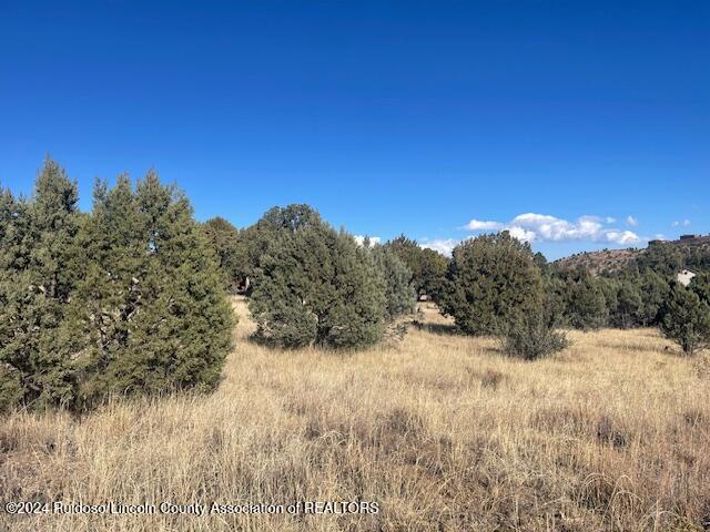 112 Antler Drive, Alto, New Mexico image 5