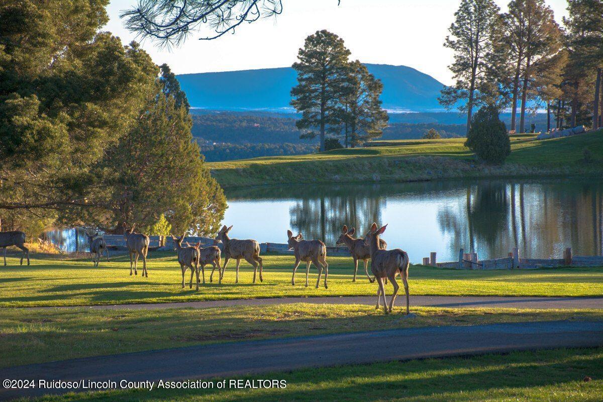 112 Antler Drive, Alto, New Mexico image 1