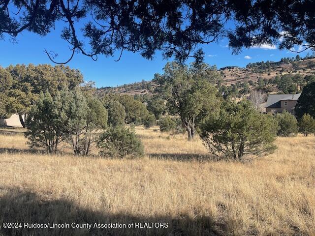 112 Antler Drive, Alto, New Mexico image 8