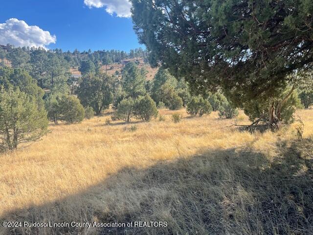 112 Antler Drive, Alto, New Mexico image 9