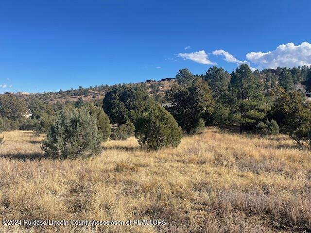 112 Antler Drive, Alto, New Mexico image 4