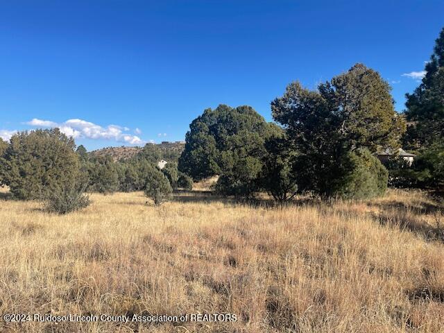 112 Antler Drive, Alto, New Mexico image 6