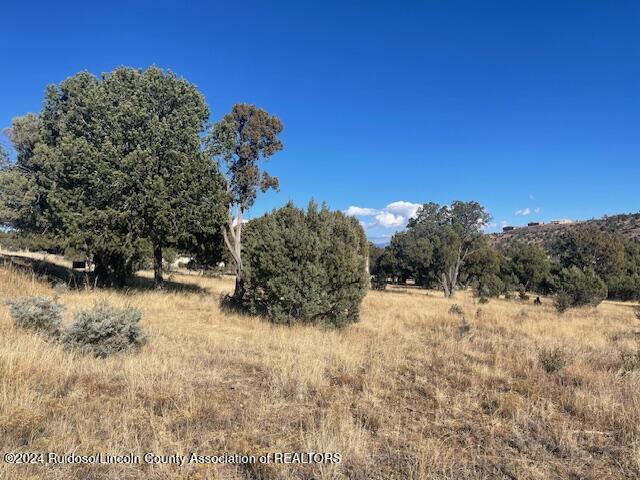 112 Antler Drive, Alto, New Mexico image 3