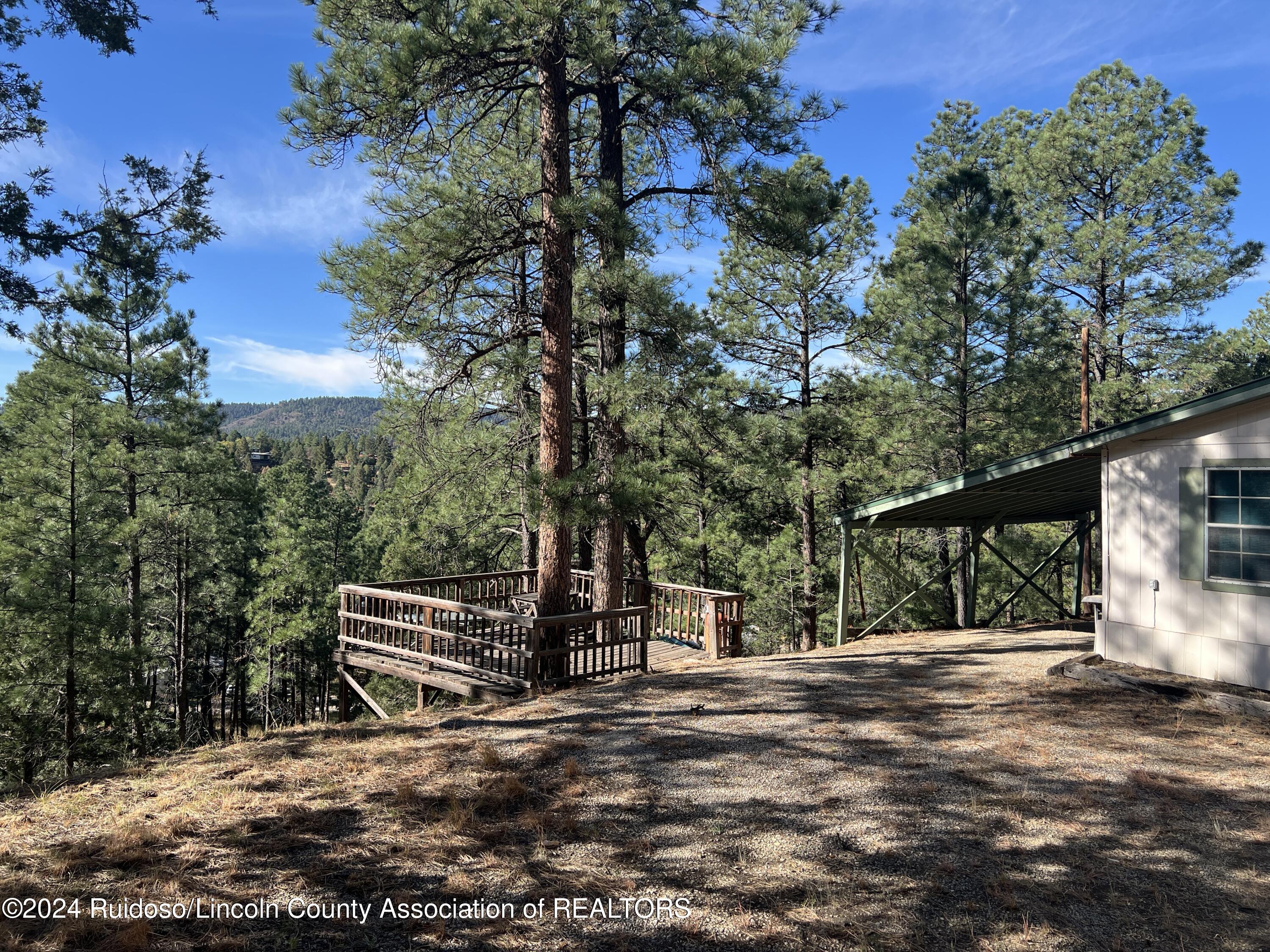 115 Mimosa Drive, Ruidoso, New Mexico image 5