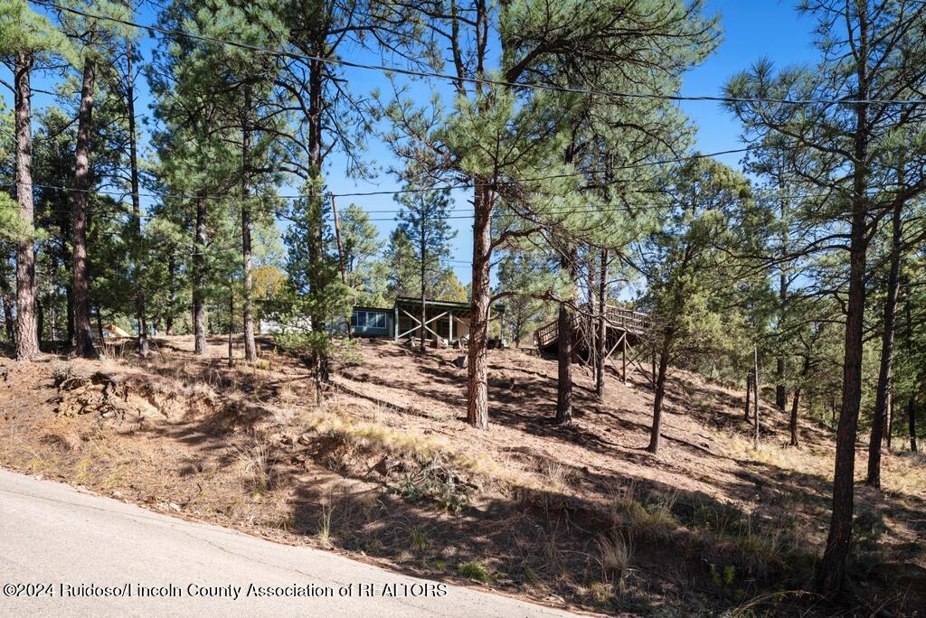 115 Mimosa Drive, Ruidoso, New Mexico image 3