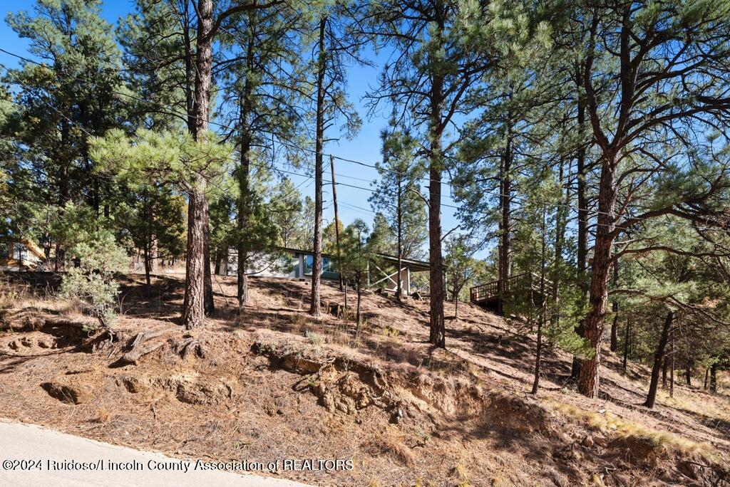 115 Mimosa Drive, Ruidoso, New Mexico image 4