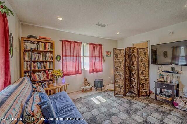 115 N Eagle Drive, Ruidoso, New Mexico image 44