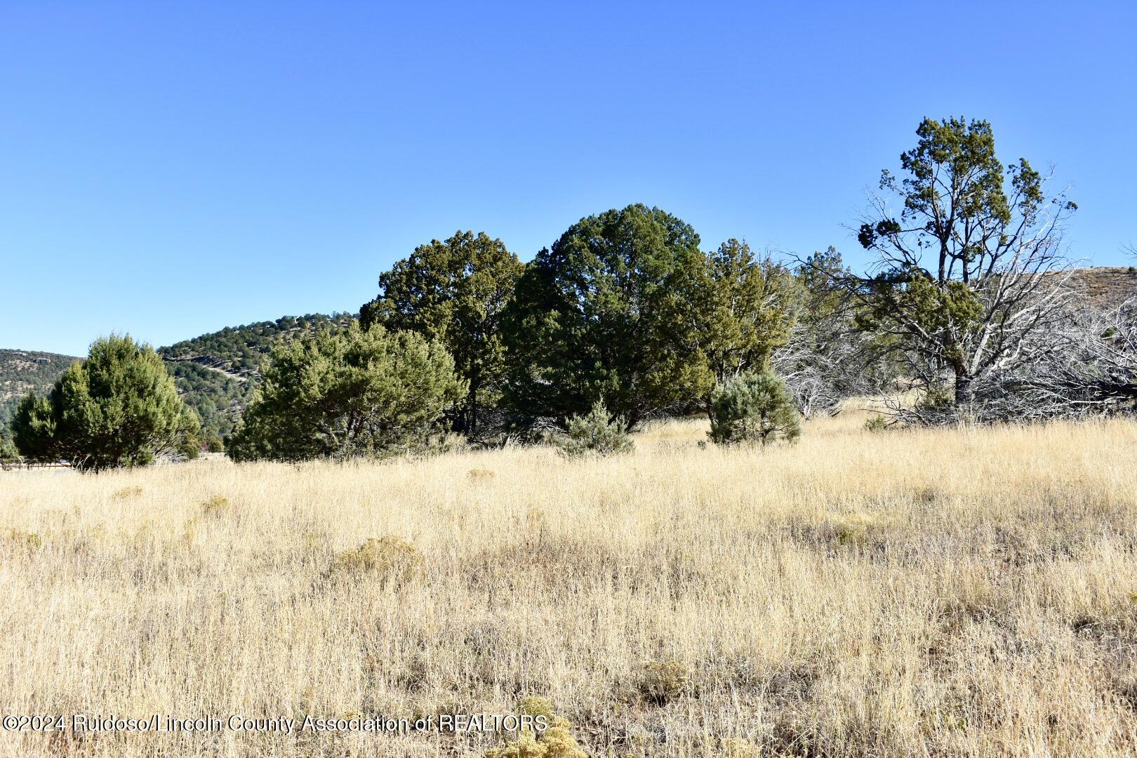 Tract 17 Copper Canyon Sd., Alto, New Mexico image 6