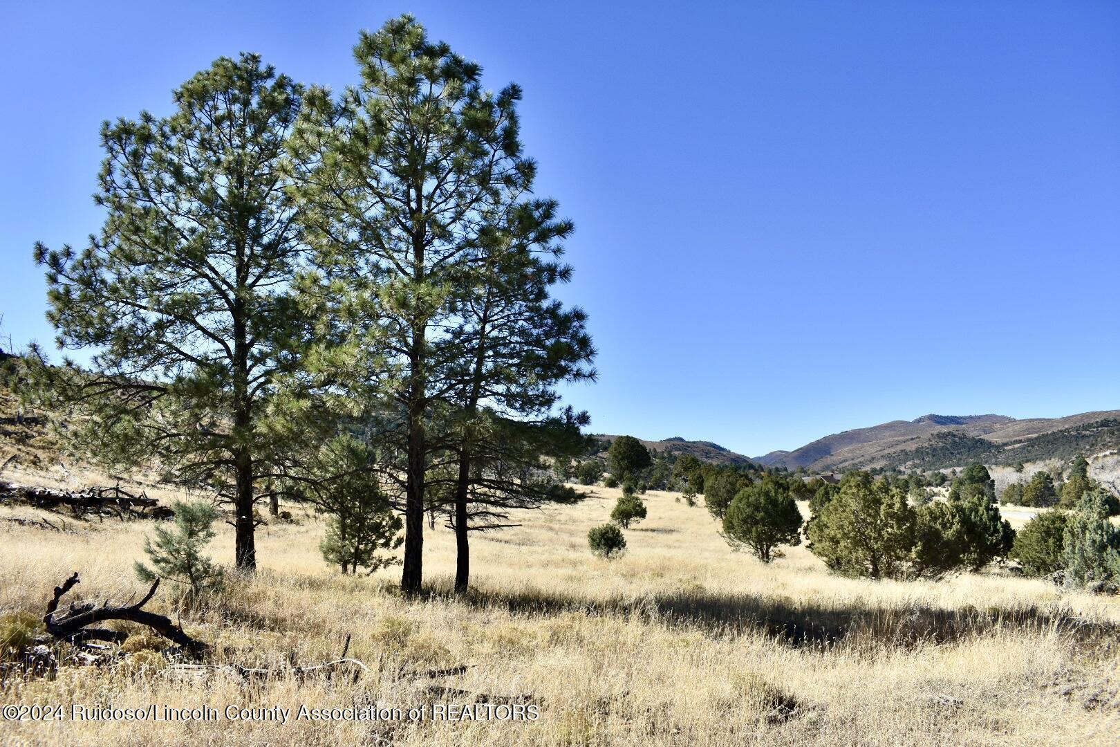 Tract 17 Copper Canyon Sd., Alto, New Mexico image 3