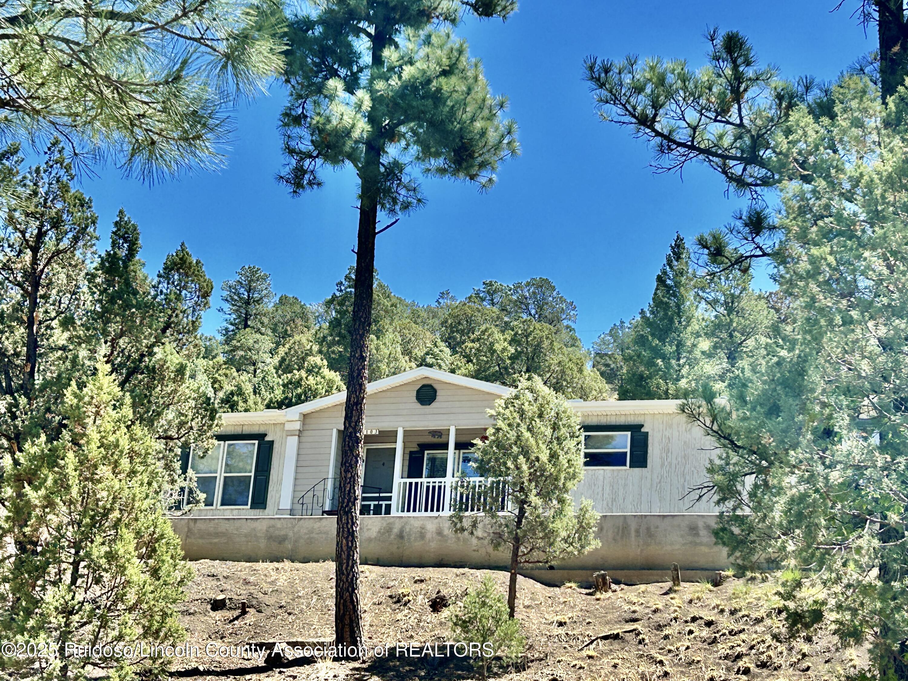 103 Mimosa Drive, Ruidoso, New Mexico image 1