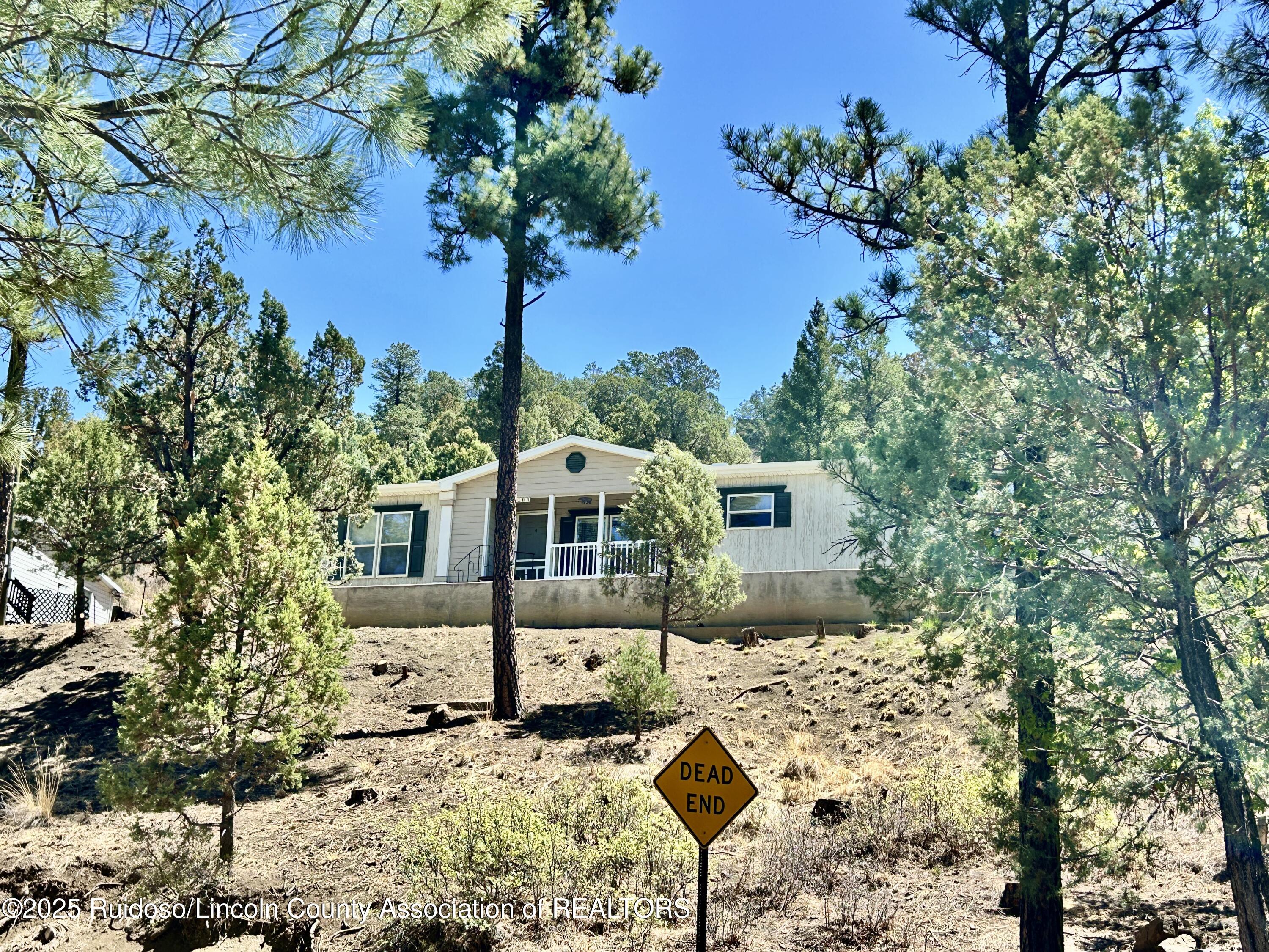 103 Mimosa Drive, Ruidoso, New Mexico image 48