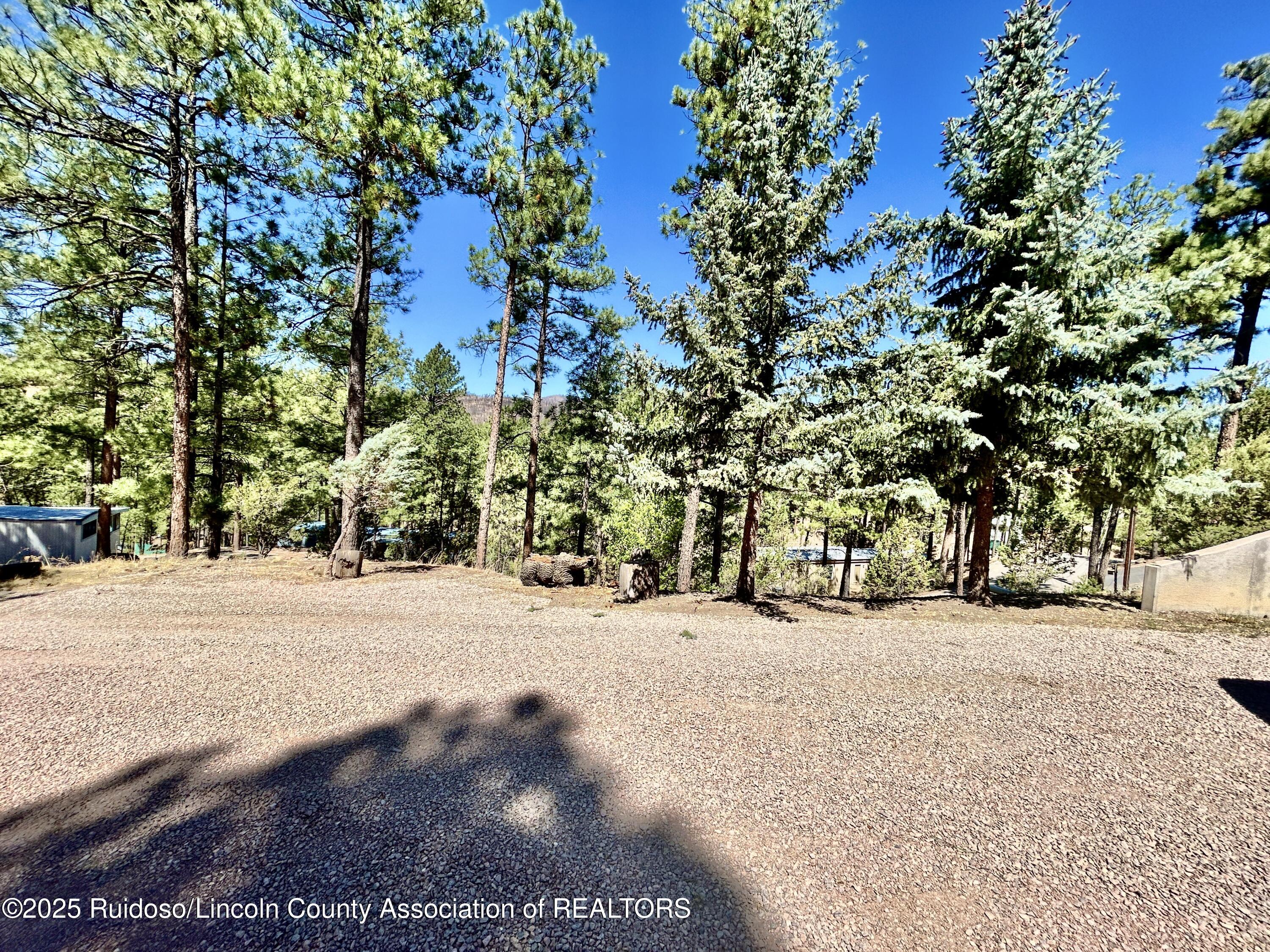 103 Mimosa Drive, Ruidoso, New Mexico image 41