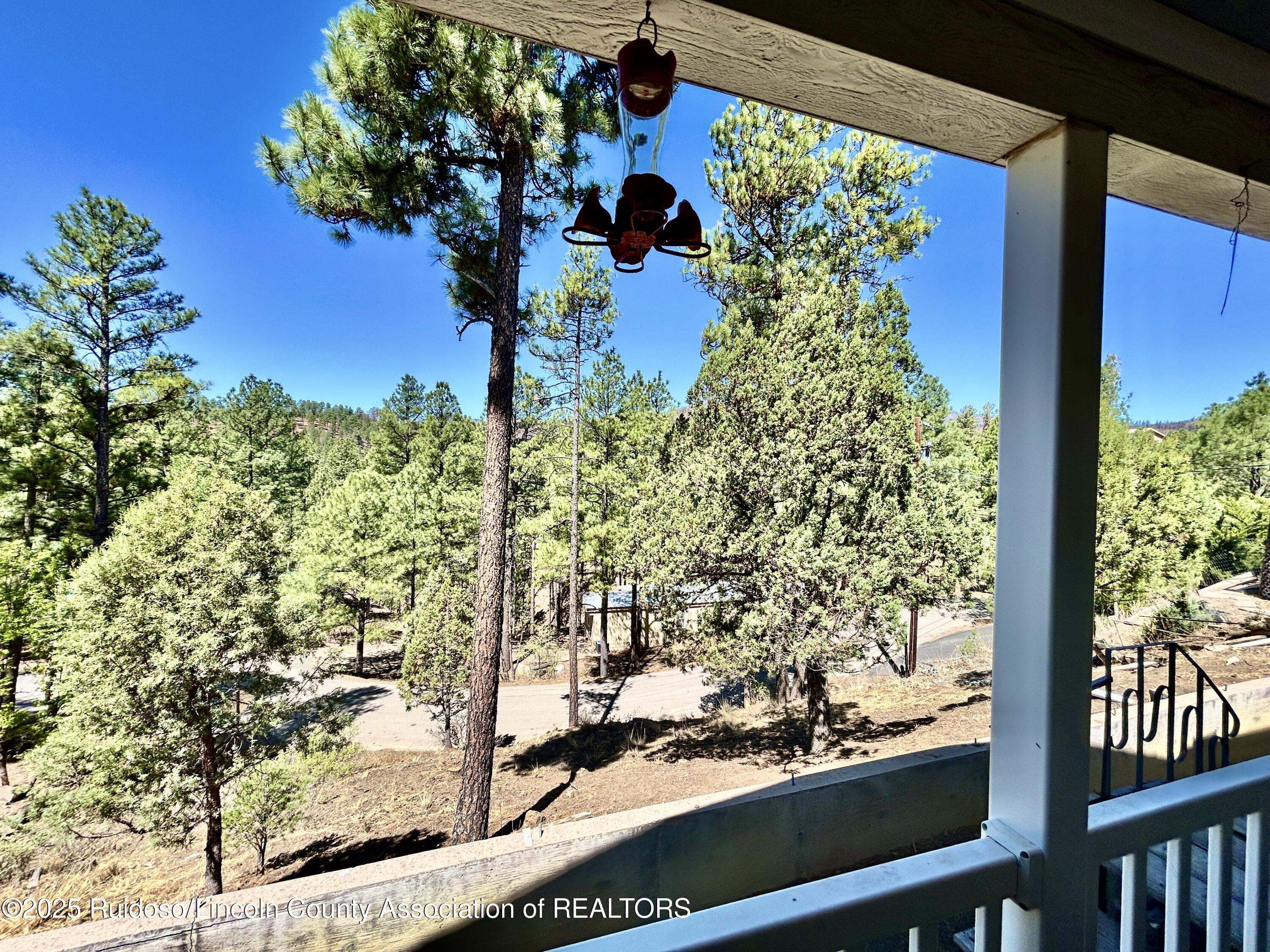 103 Mimosa Drive, Ruidoso, New Mexico image 38