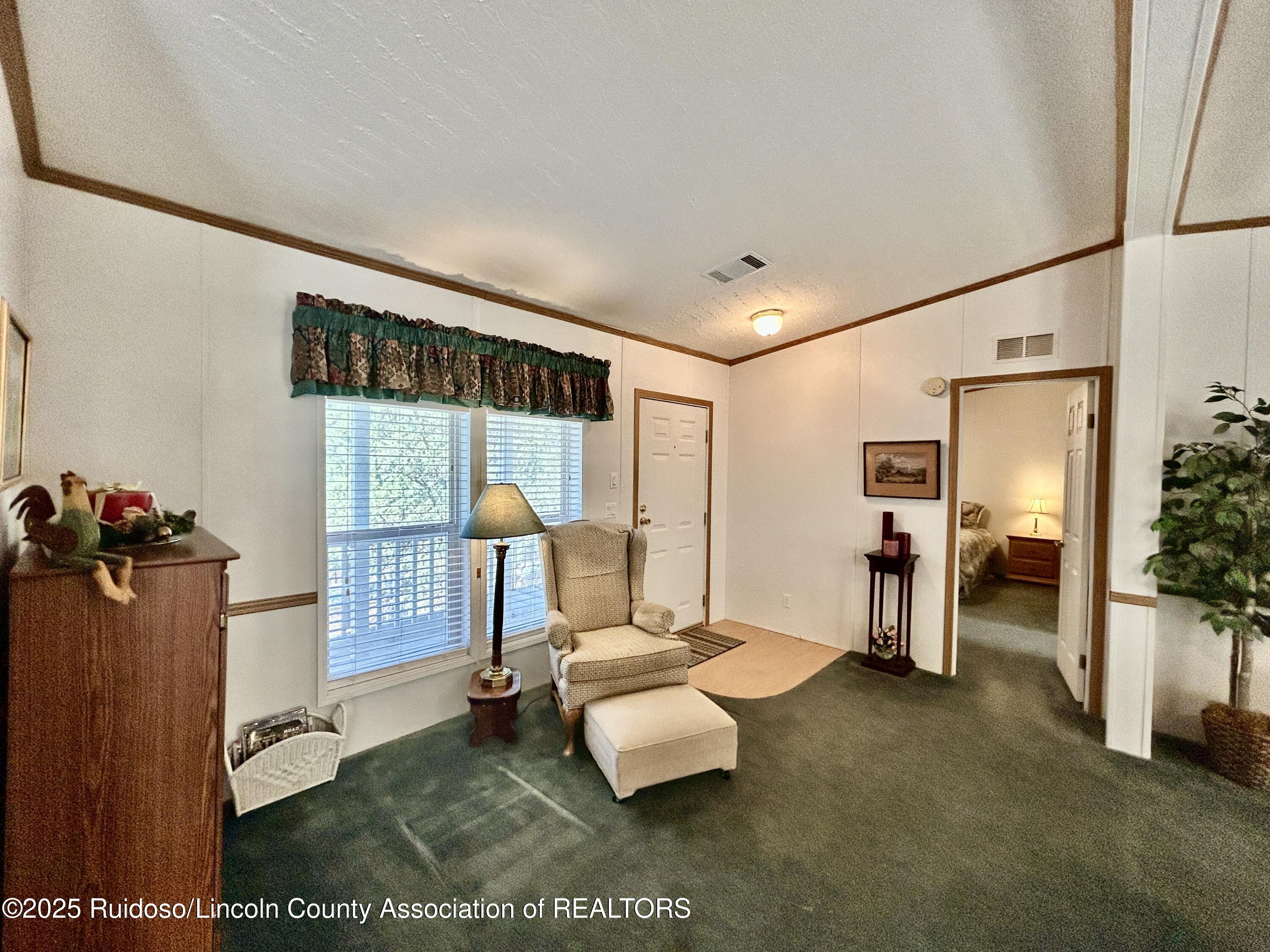 103 Mimosa Drive, Ruidoso, New Mexico image 6