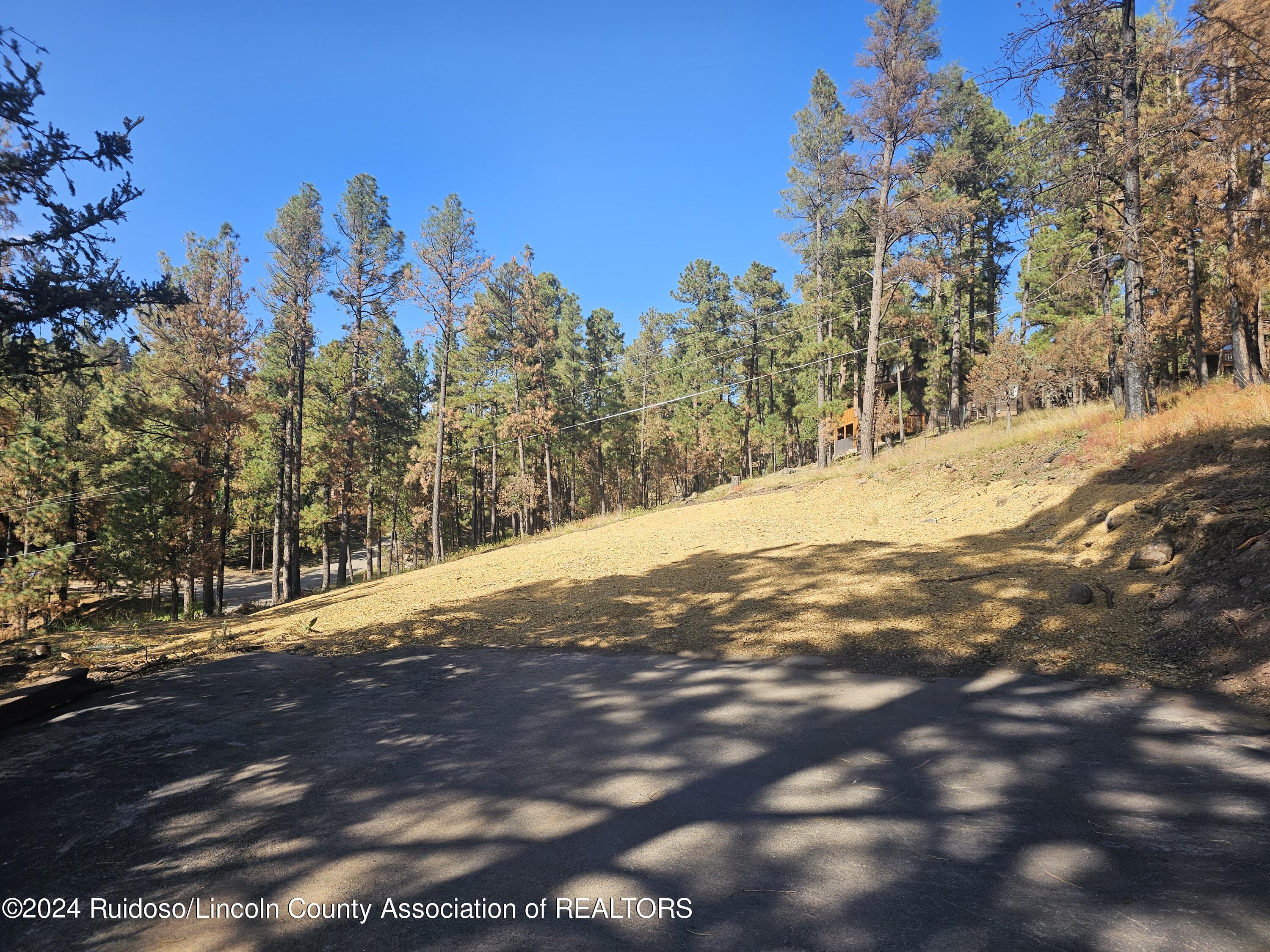 111 Sunset Drive, Alto, New Mexico image 3