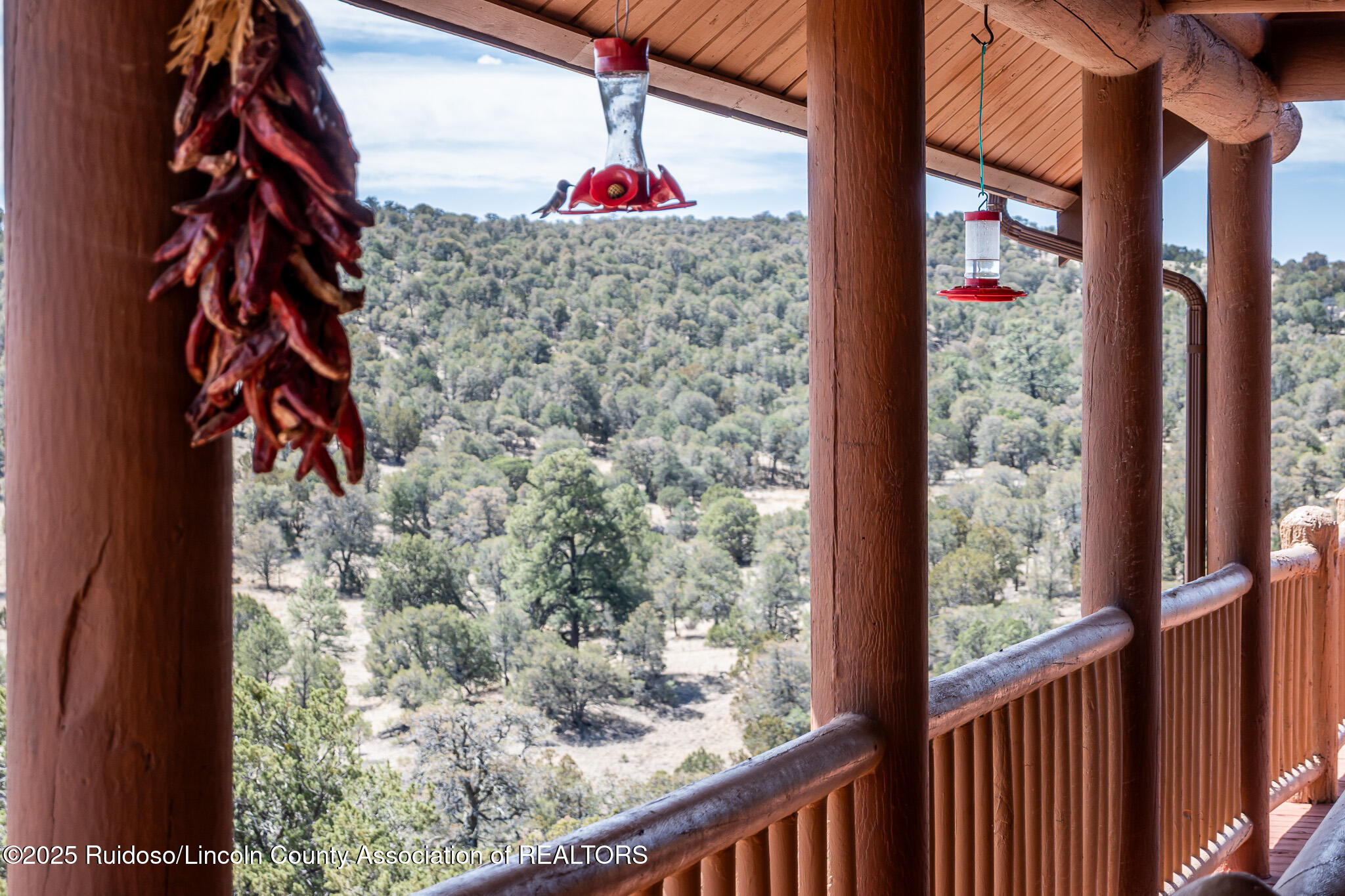 111 Ranchmans Camp Road, Capitan, New Mexico image 14