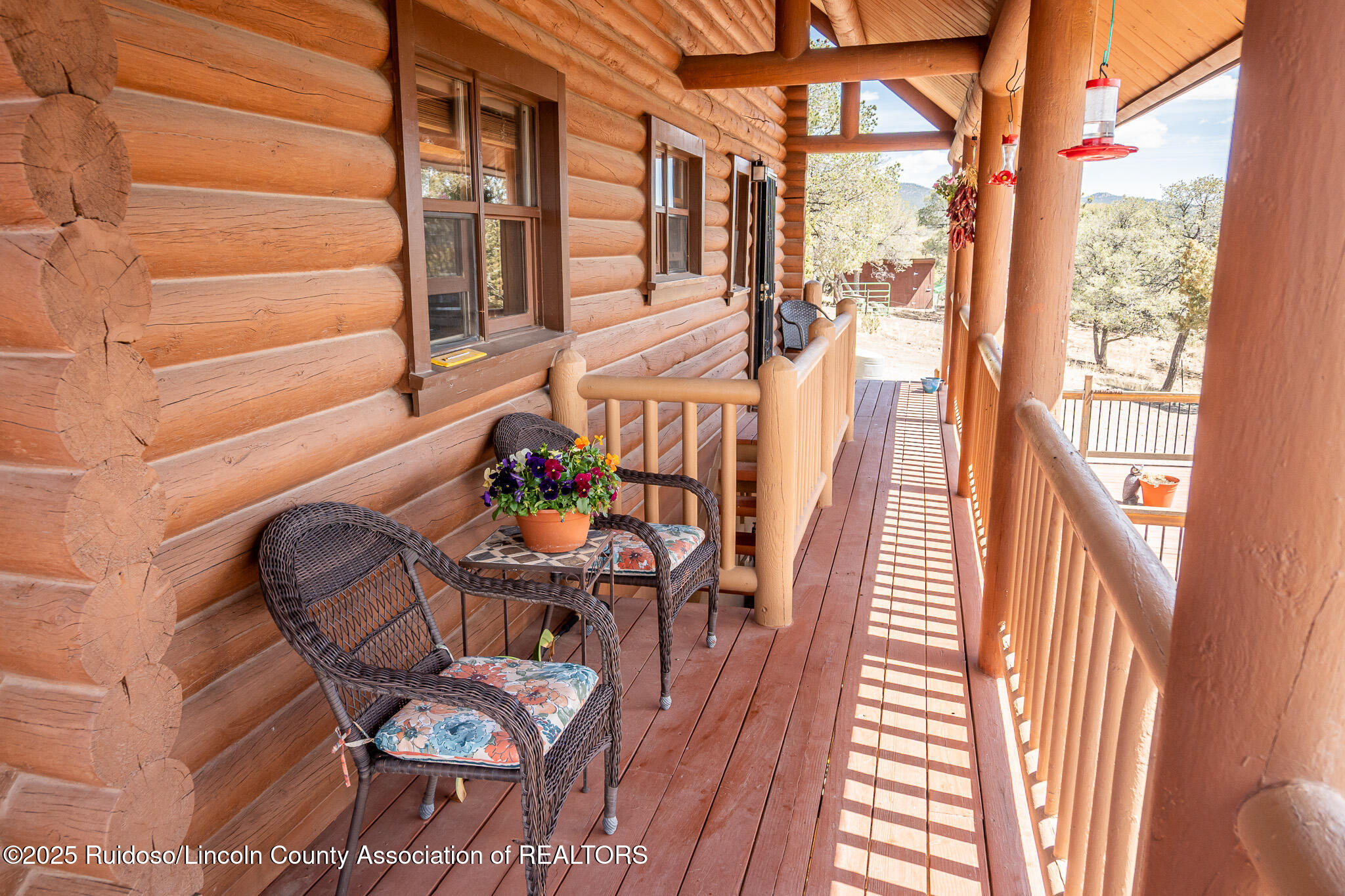 111 Ranchmans Camp Road, Capitan, New Mexico image 8