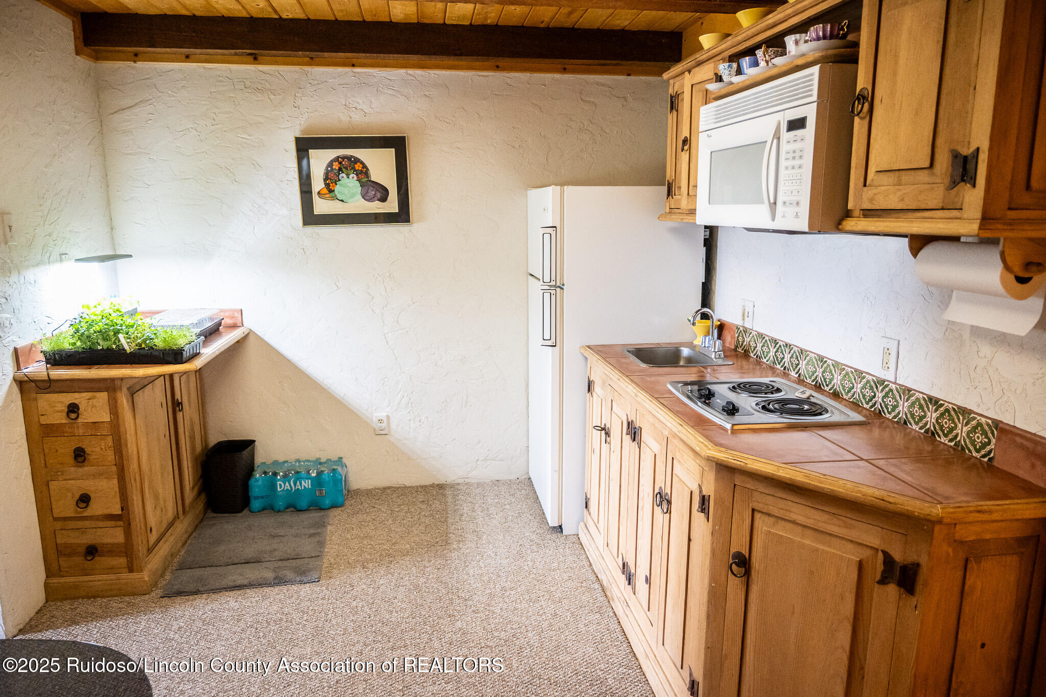 111 Ranchmans Camp Road, Capitan, New Mexico image 37
