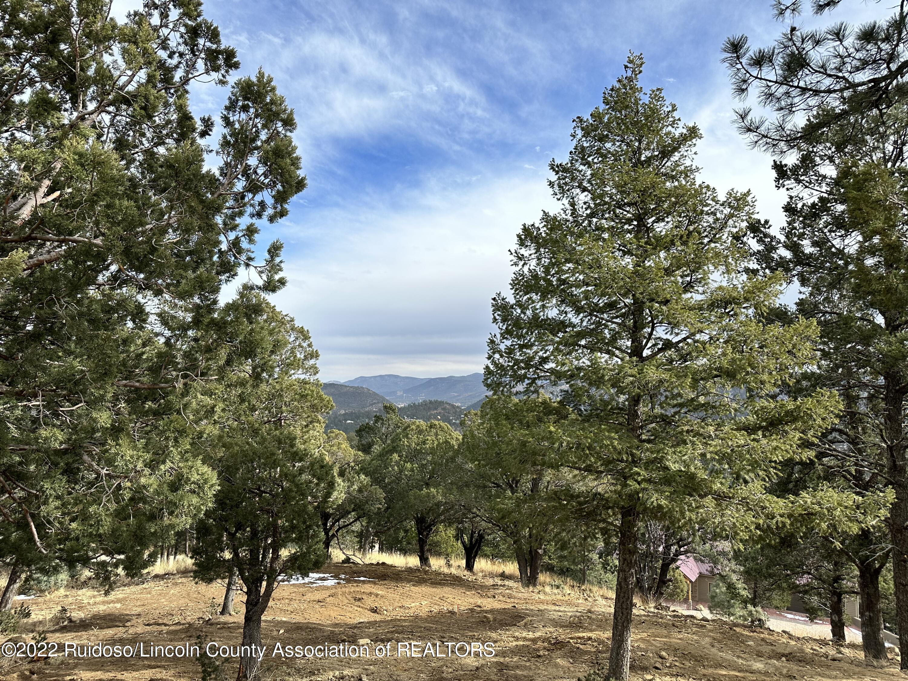 104 Middle Fork Frk, Ruidoso, New Mexico image 7