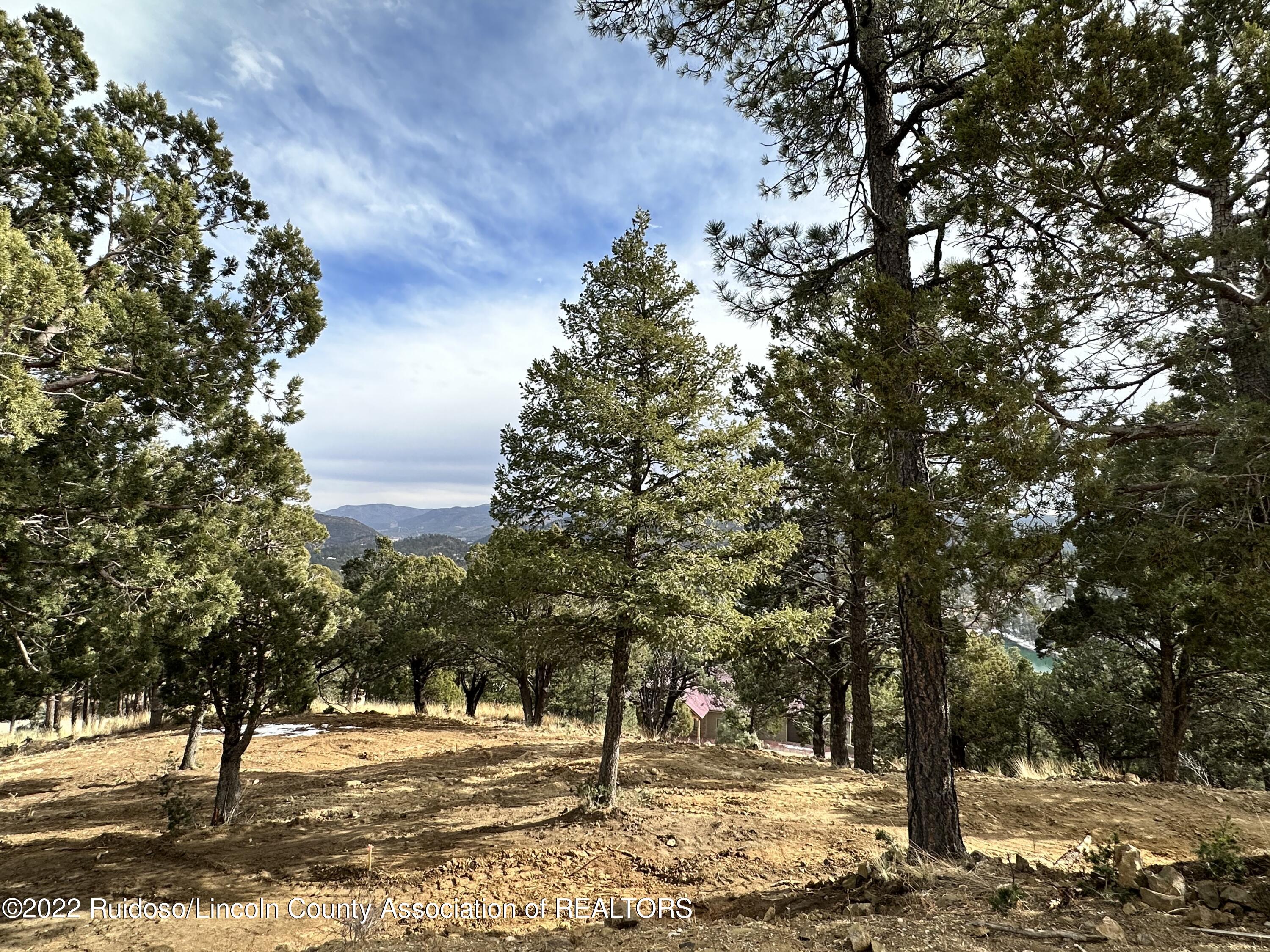 104 Middle Fork Frk, Ruidoso, New Mexico image 3