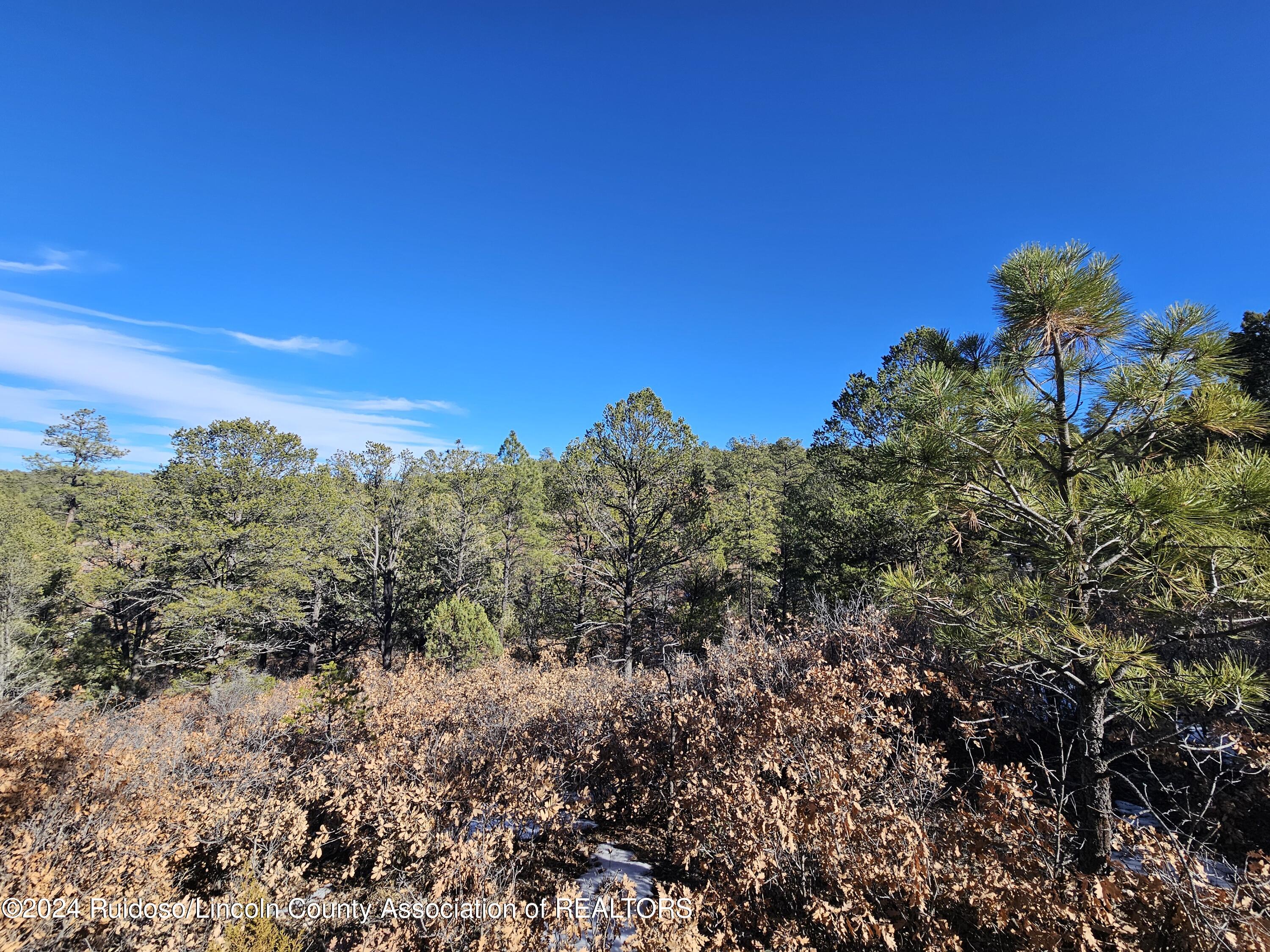 - Township10s, Range 14e,sect 33, Ruidoso Downs, New Mexico image 8