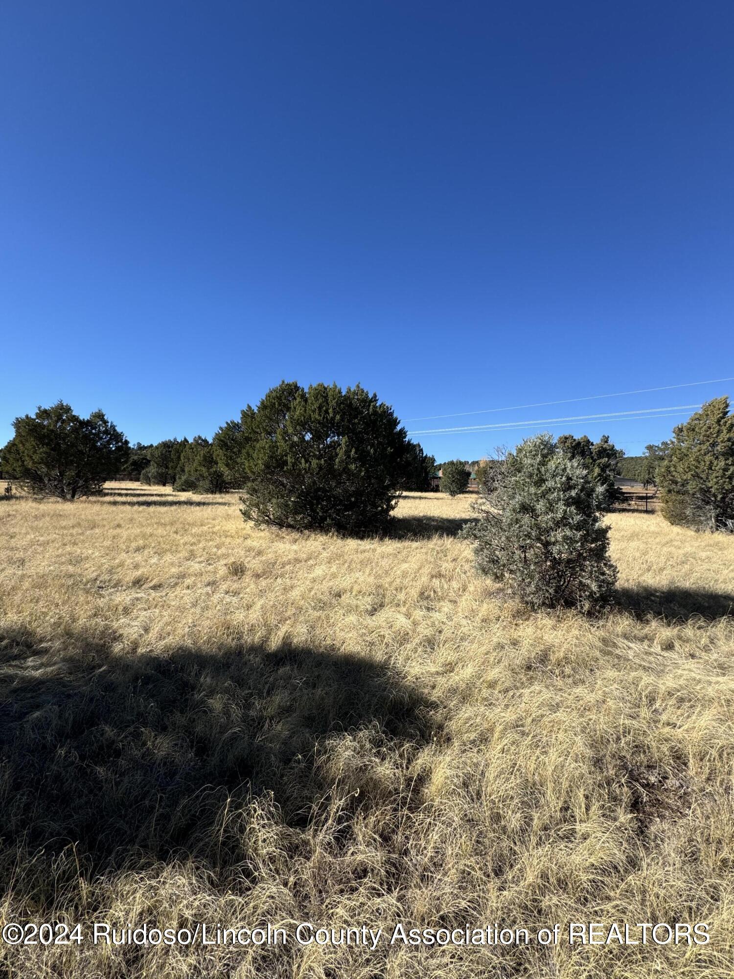 L183 Saddleback Road, Alto, New Mexico image 4