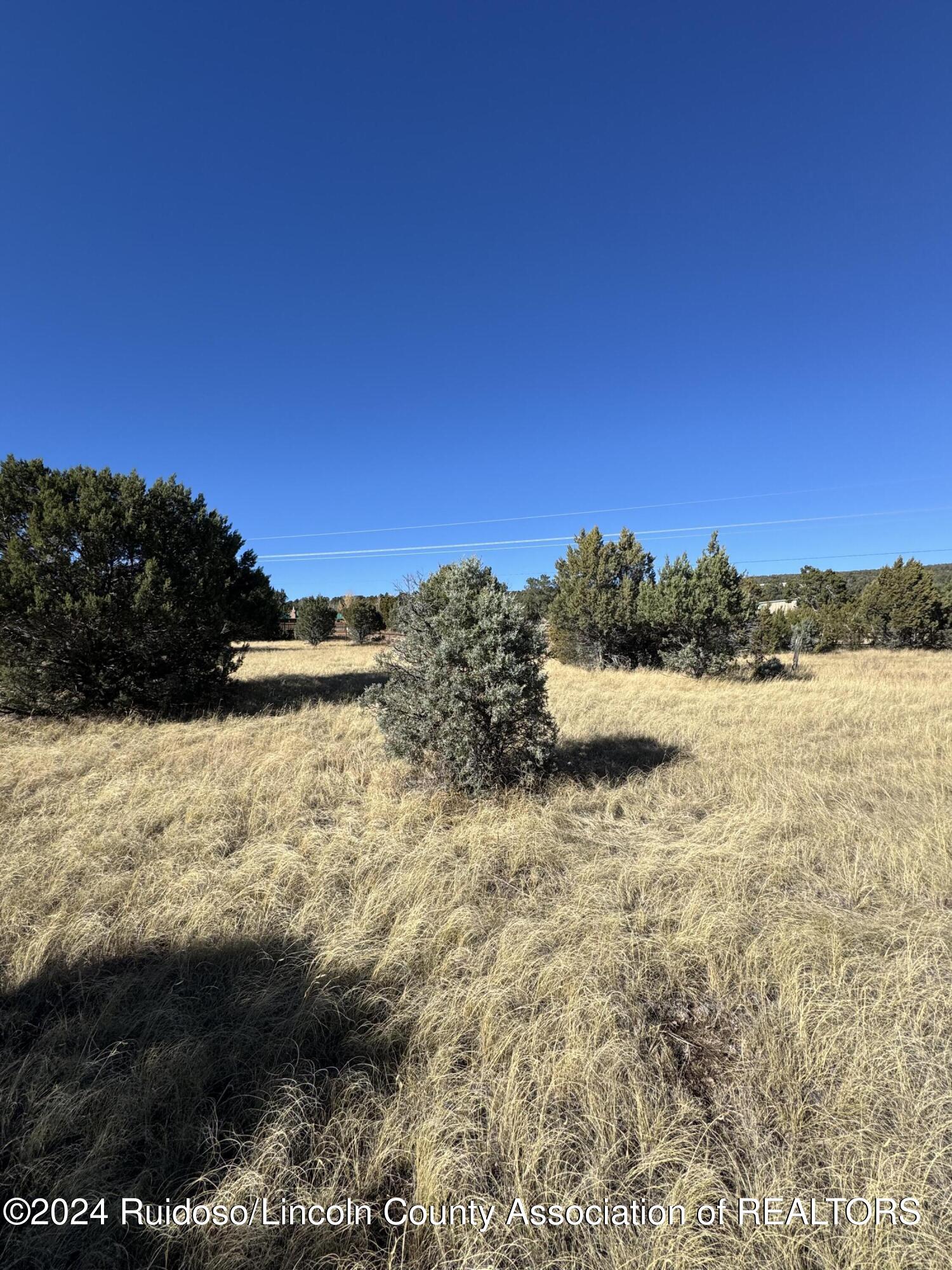 L183 Saddleback Road, Alto, New Mexico image 3