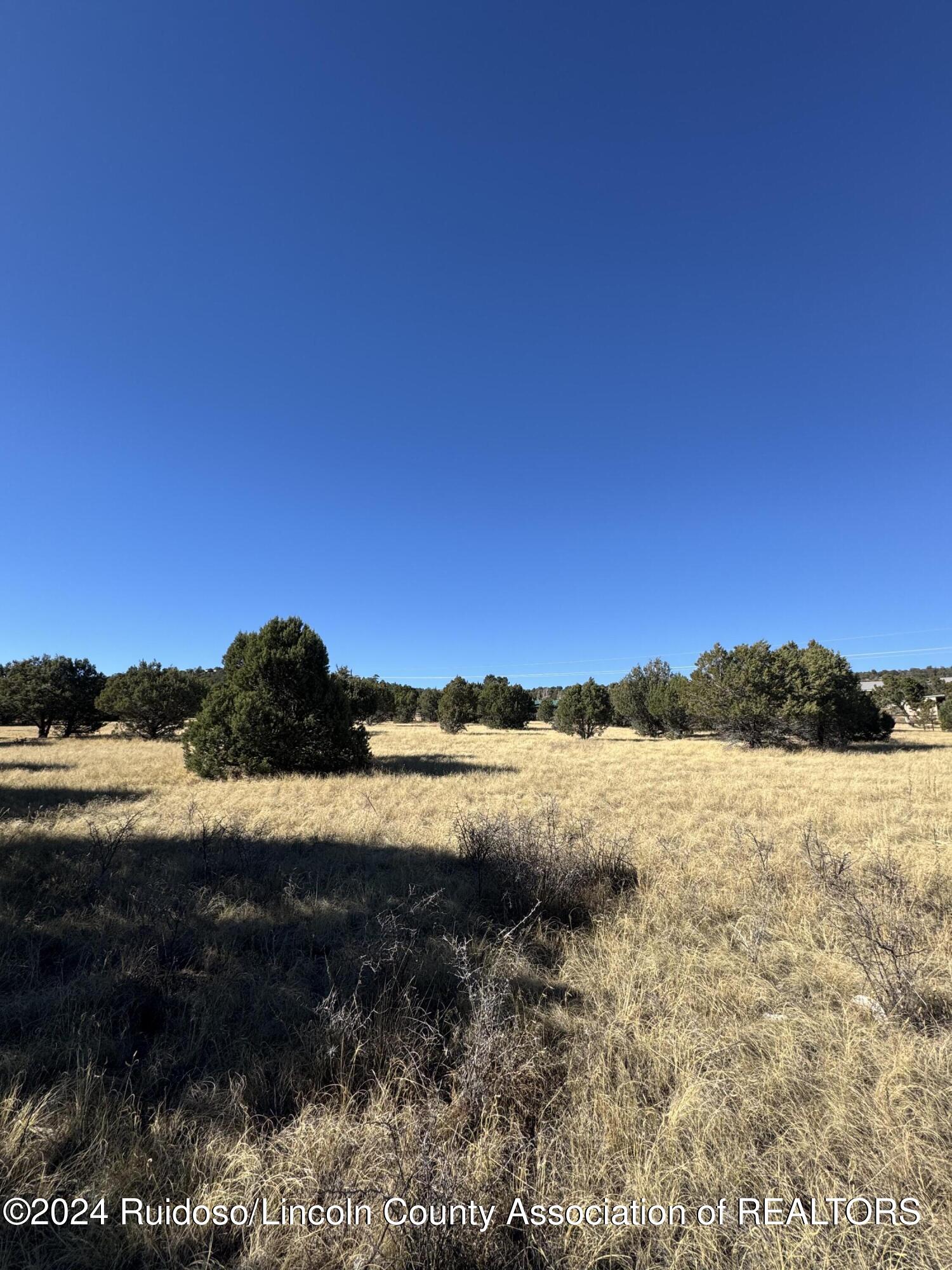 L183 Saddleback Road, Alto, New Mexico image 5