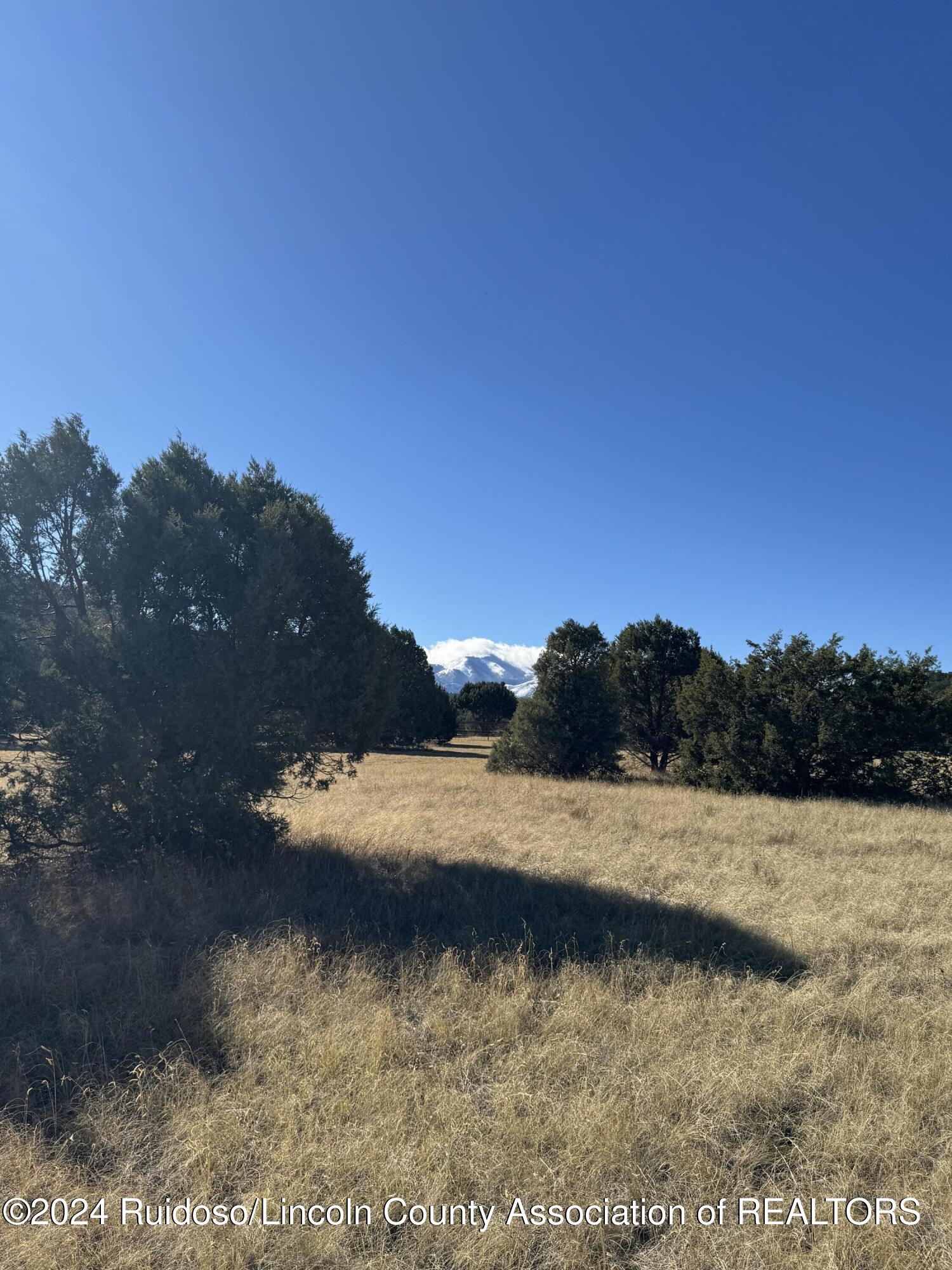 L183 Saddleback Road, Alto, New Mexico image 1