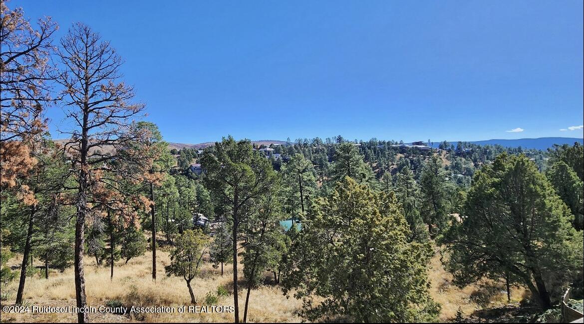 145 Willie Horton Drive, Ruidoso, New Mexico image 21