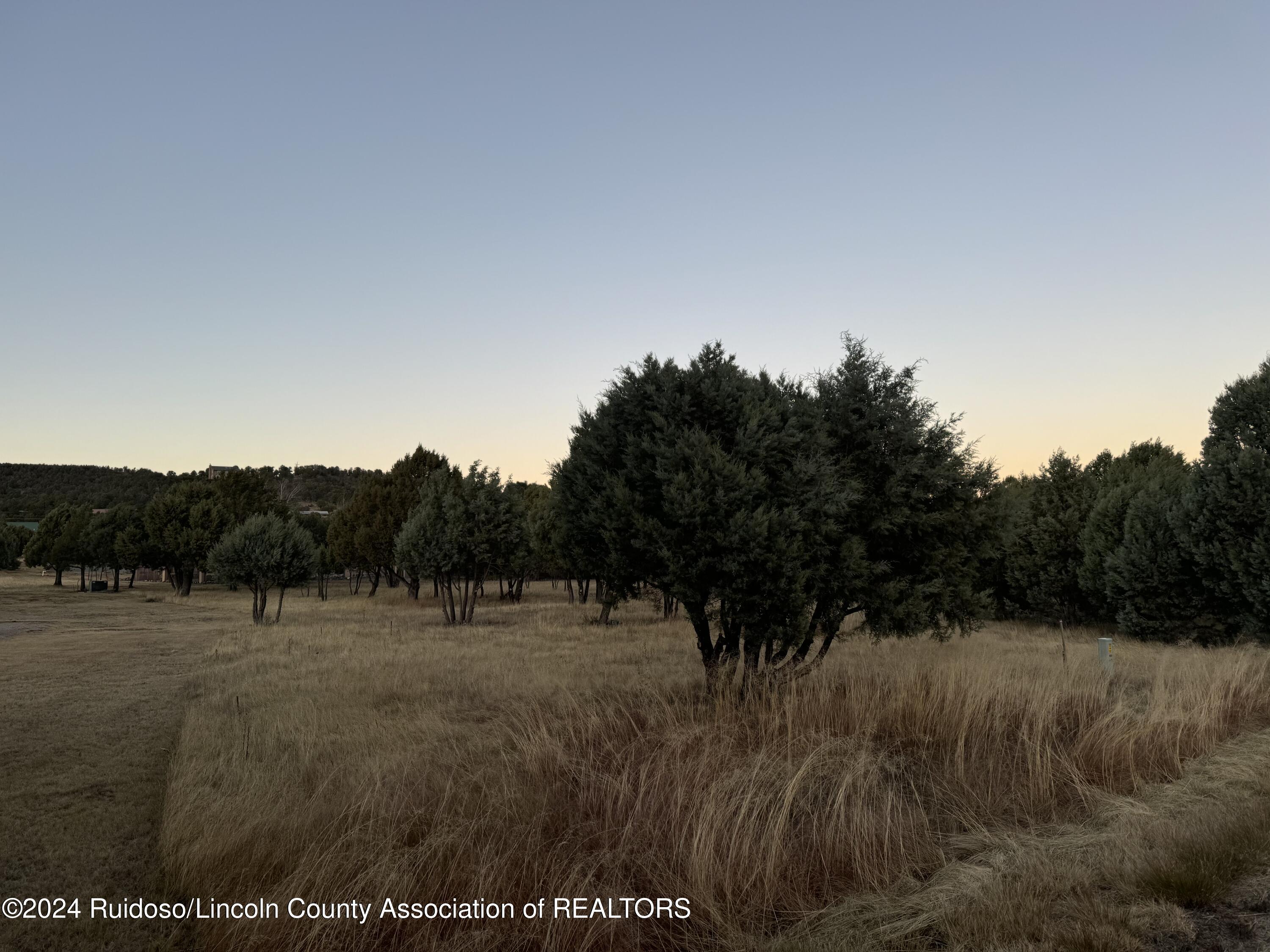 220 Antler Drive, Alto, New Mexico image 1