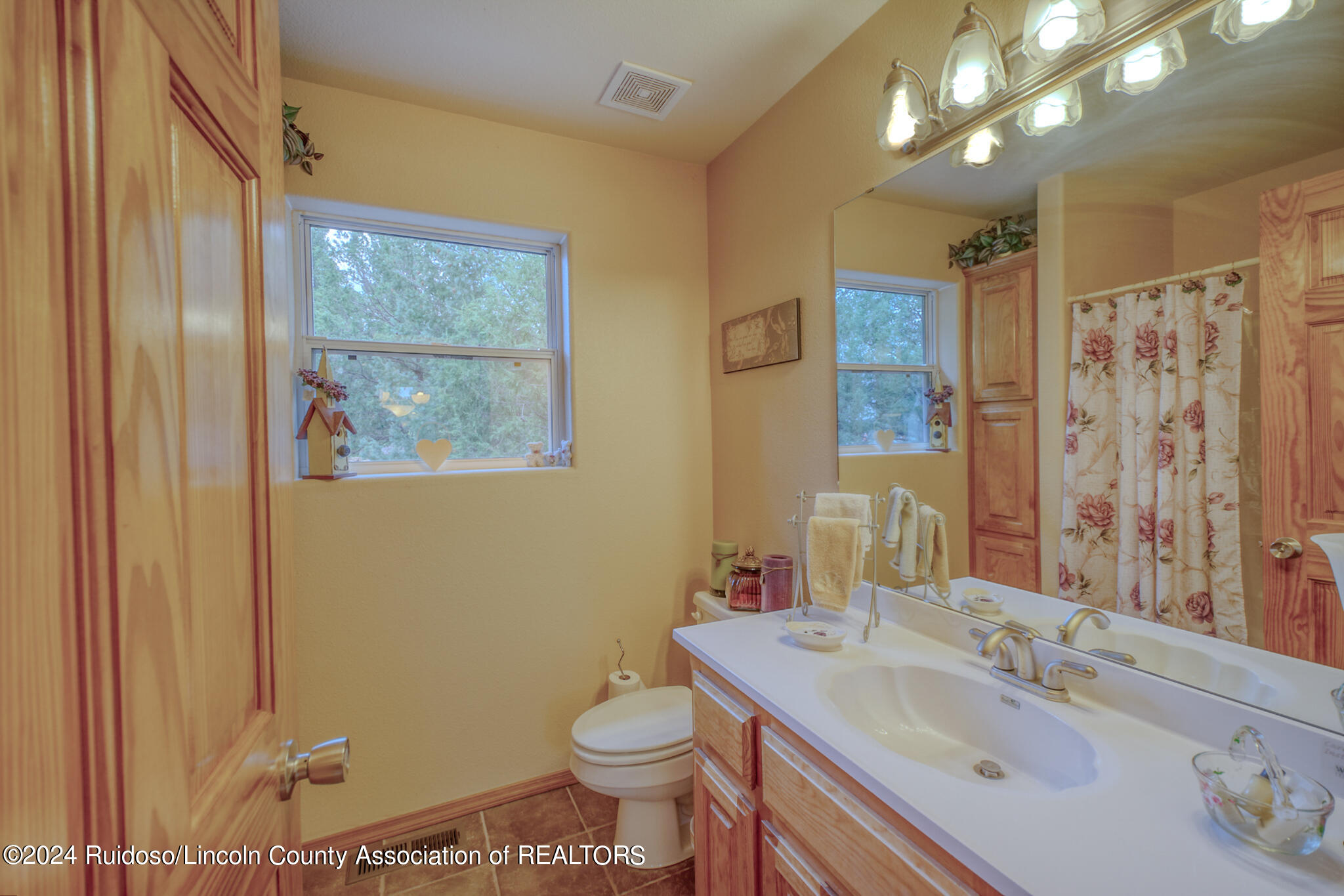 213 Cummings Drive, Ruidoso, New Mexico image 37