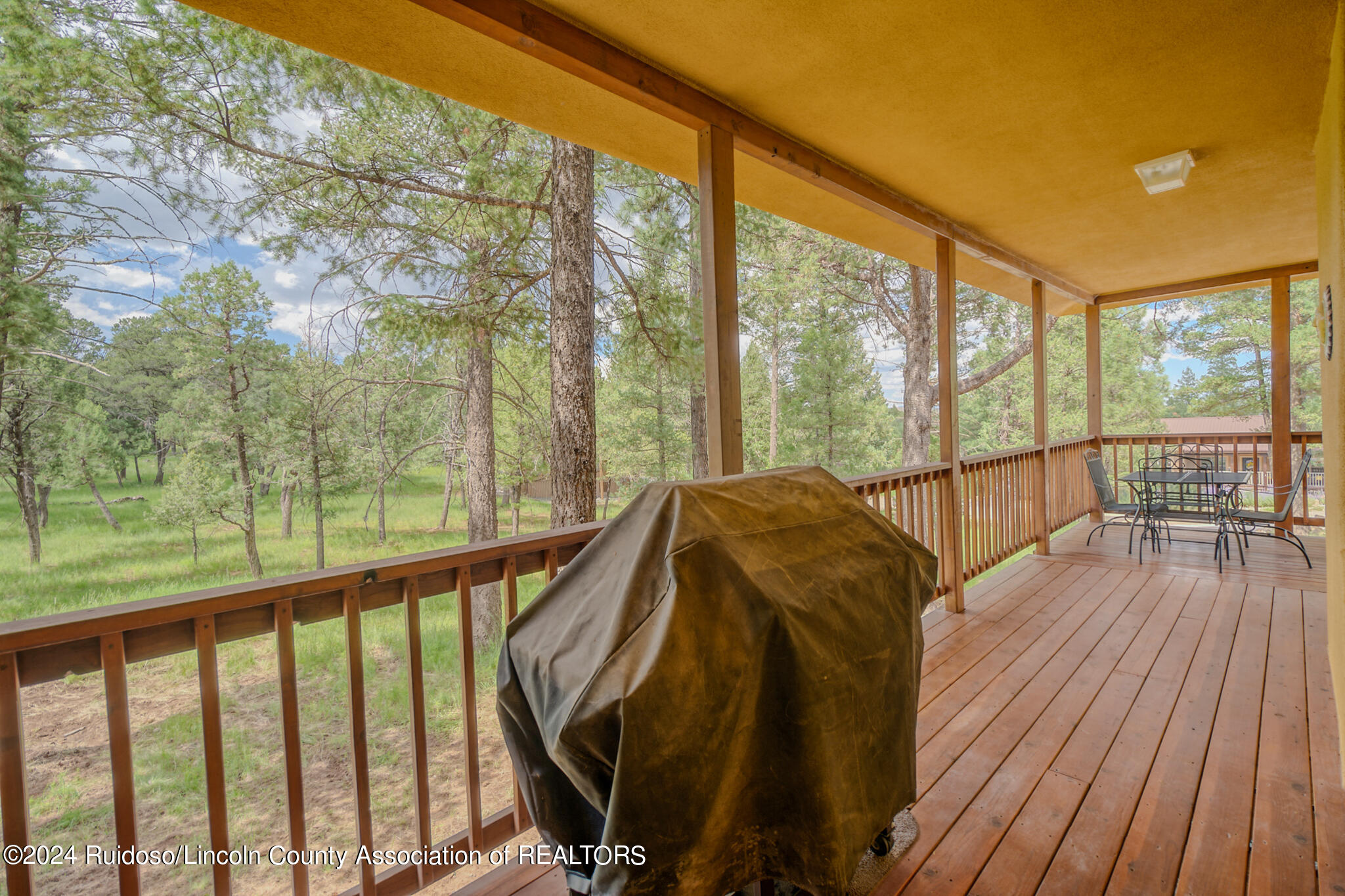 213 Cummings Drive, Ruidoso, New Mexico image 47