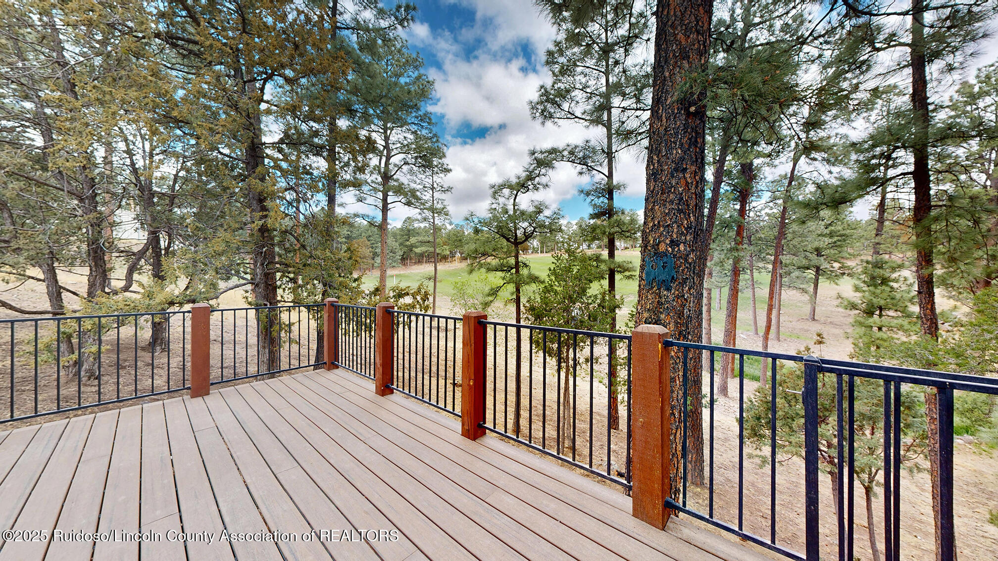 167 Midiron Drive, Alto, New Mexico image 40